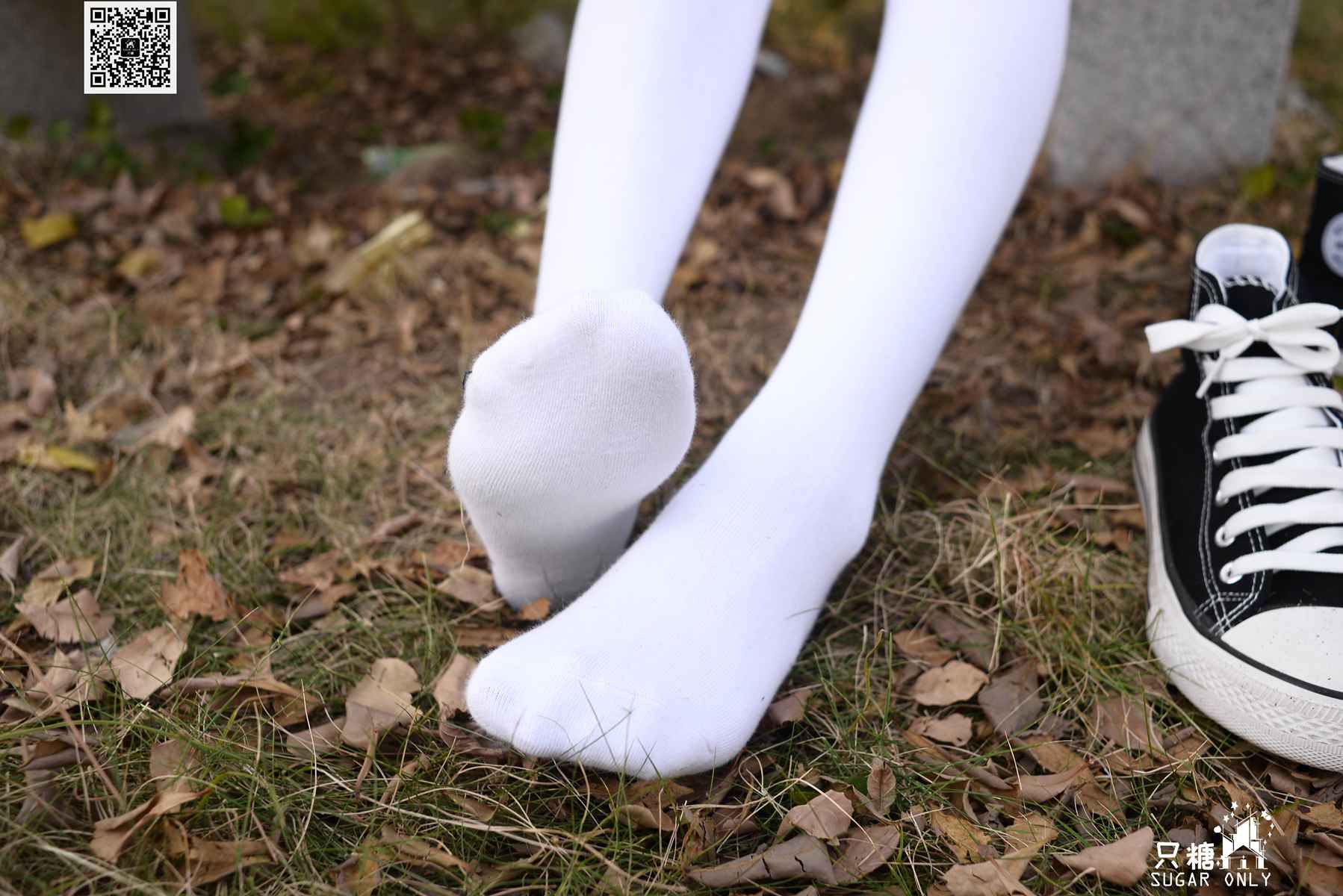 图片[217]-[只糖棉袜] NO.099 阿雅 愿你可带着丰盛的自己在世间流浪 在线浏览 – 速更版-美库
