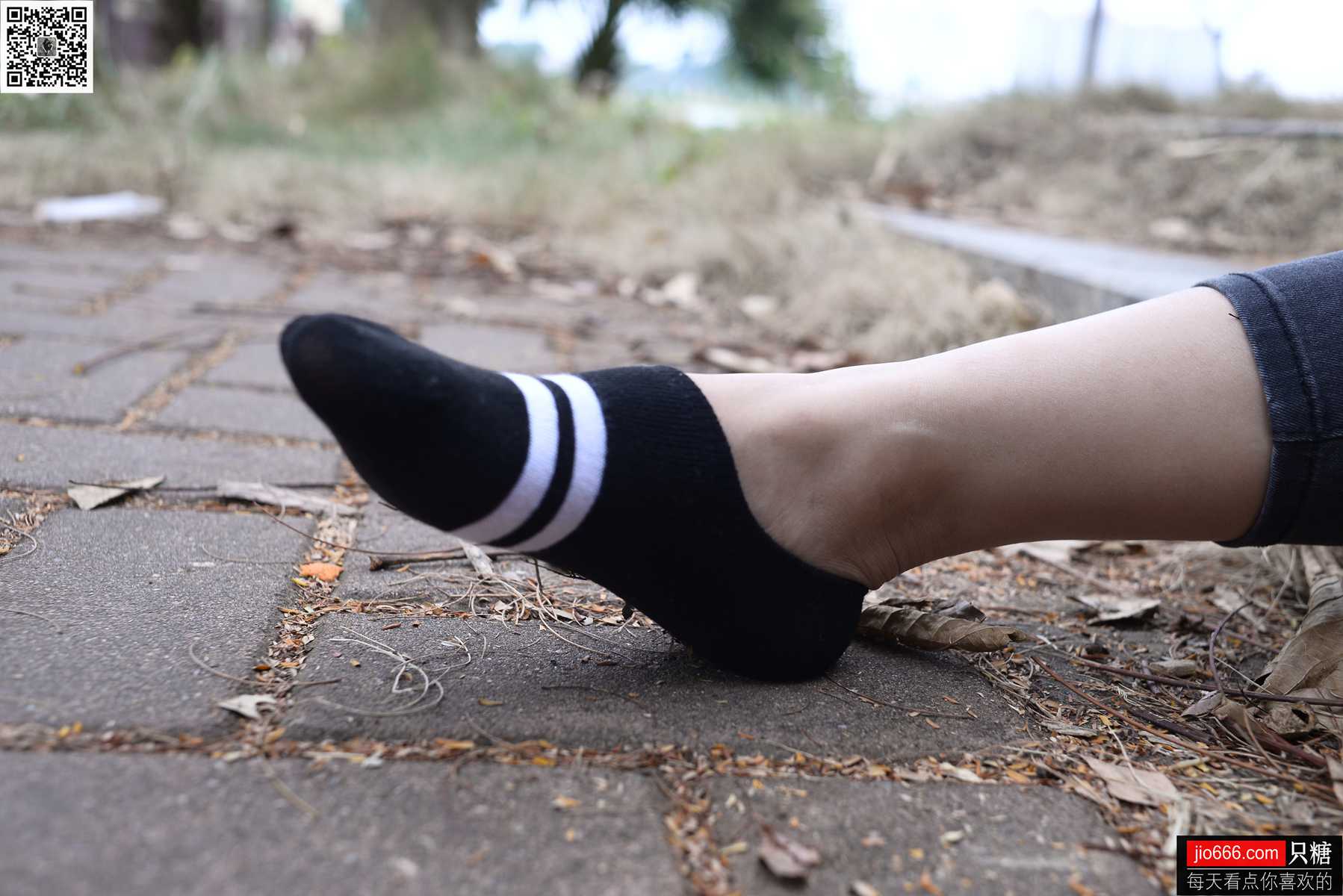 图片[225]-[只糖棉袜] NO.108 澜澜 秋日午后的温暖 在线浏览 – 速更版-美库