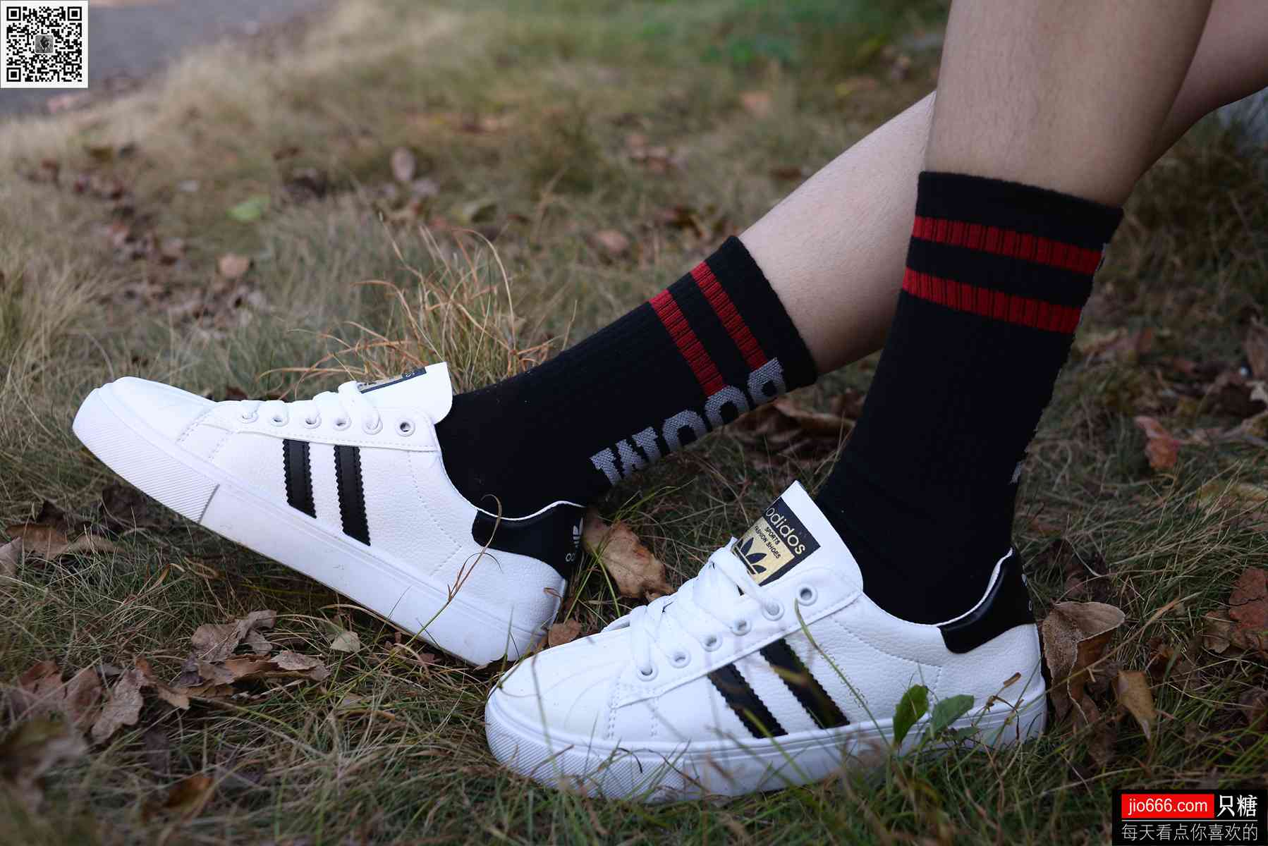 图片[85]-[只糖棉袜] NO.114 阿雅 精不精致，都是活法 在线浏览 – 速更版-美库