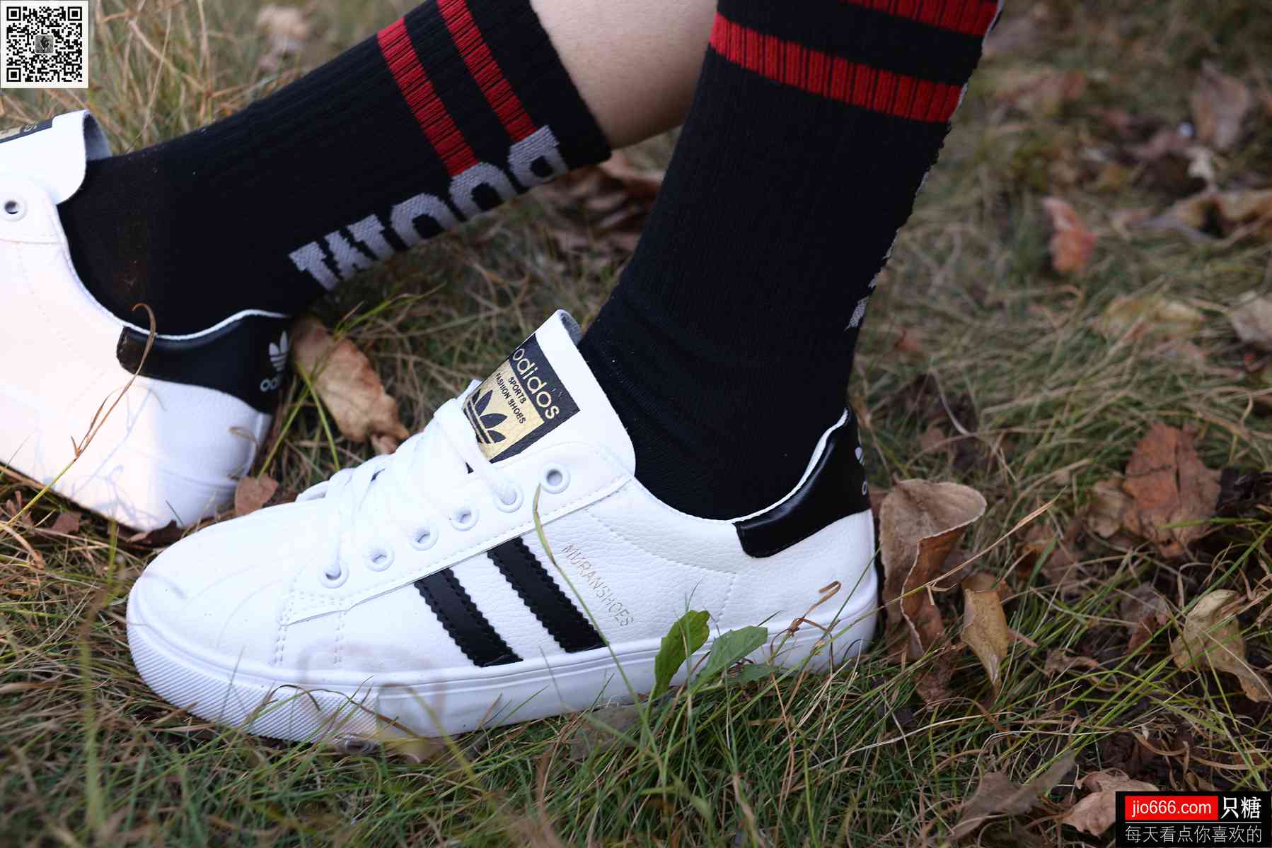 图片[227]-[只糖棉袜] NO.114 阿雅 精不精致，都是活法 在线浏览 – 速更版-美库