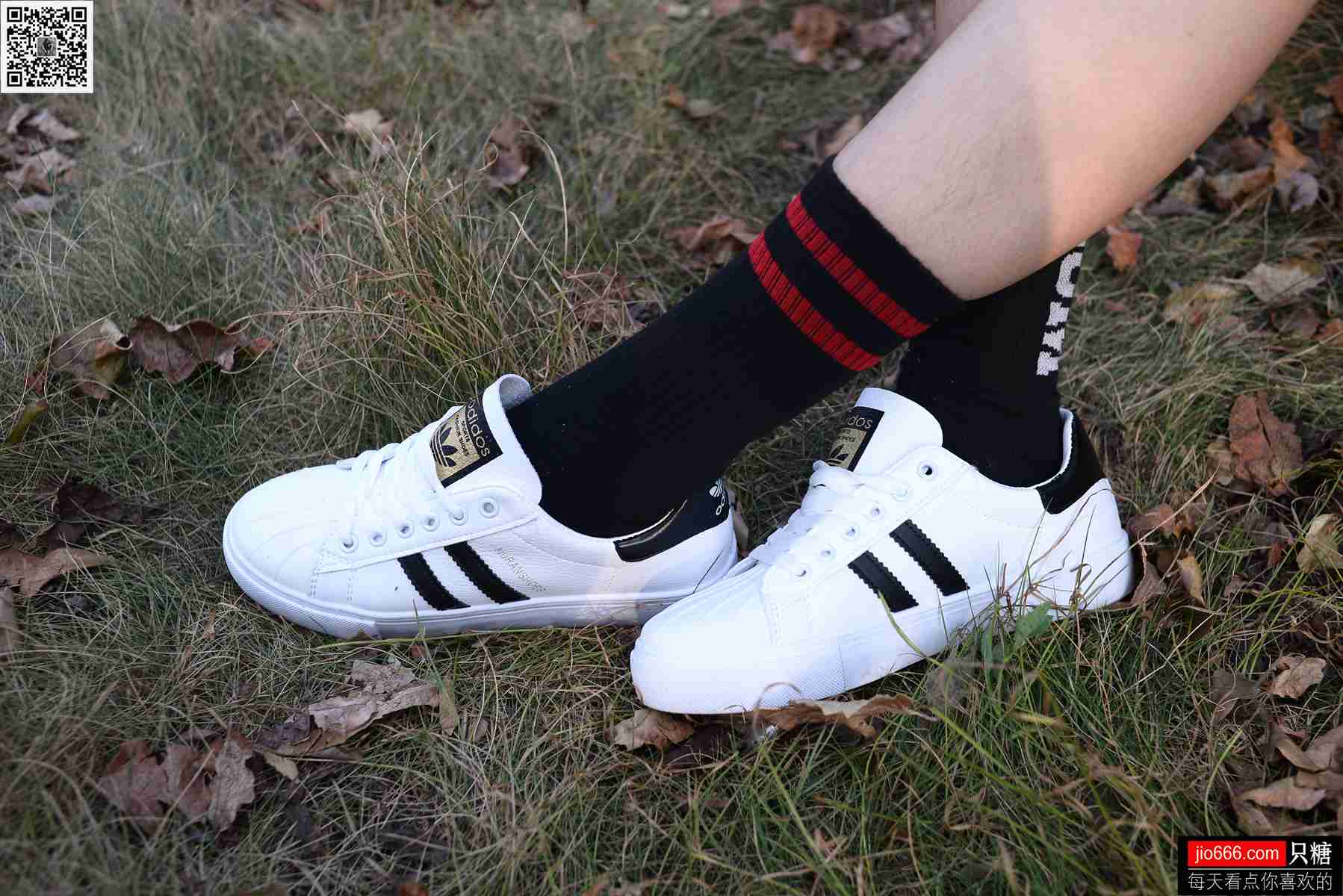 图片[89]-[只糖棉袜] NO.114 阿雅 精不精致，都是活法 在线浏览 – 速更版-美库