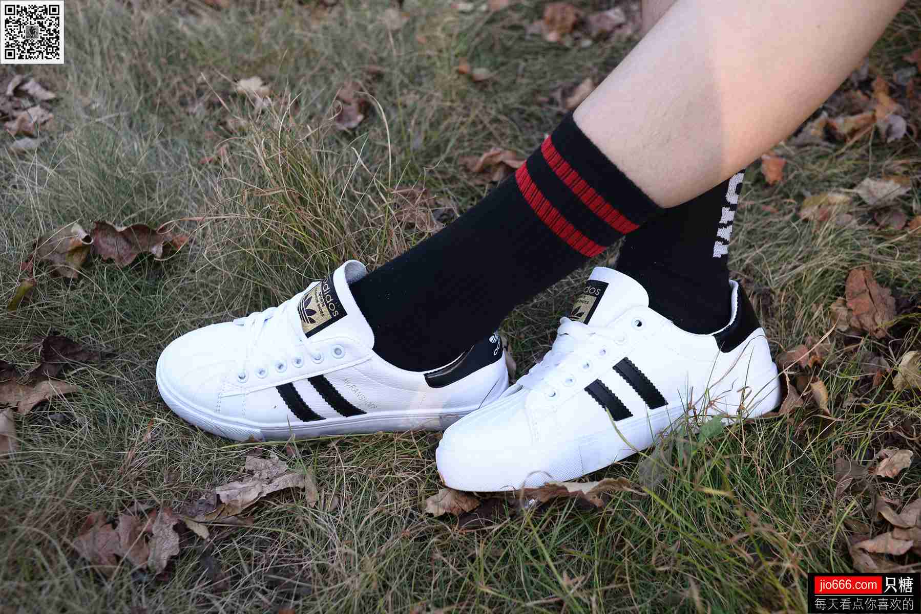 图片[199]-[只糖棉袜] NO.114 阿雅 精不精致，都是活法 在线浏览 – 速更版-美库