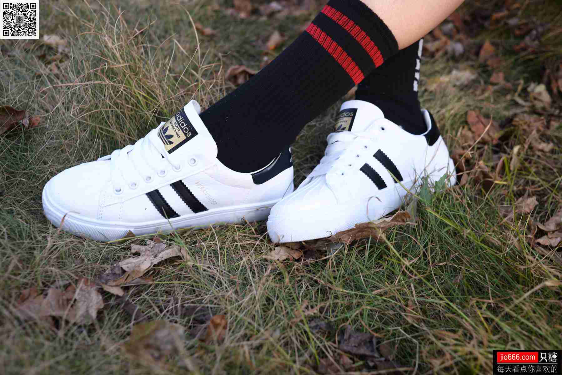 图片[196]-[只糖棉袜] NO.114 阿雅 精不精致，都是活法 在线浏览 – 速更版-美库