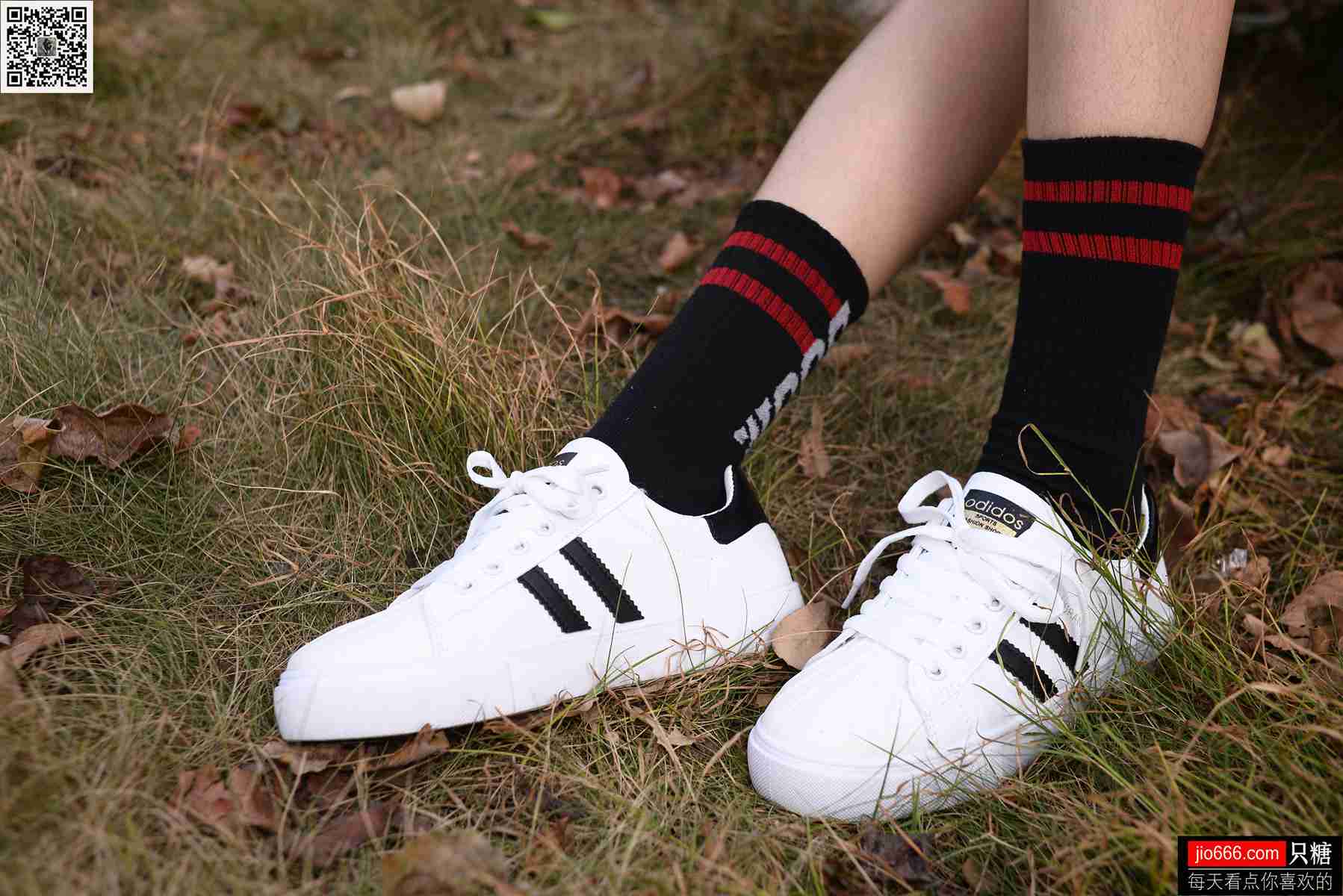 图片[209]-[只糖棉袜] NO.114 阿雅 精不精致，都是活法 在线浏览 – 速更版-美库