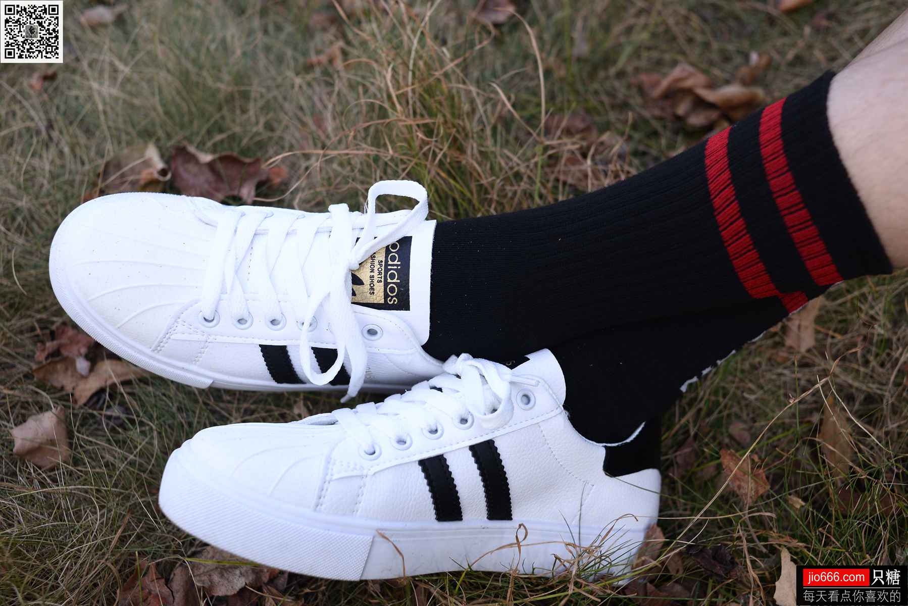 图片[214]-[只糖棉袜] NO.114 阿雅 精不精致，都是活法 在线浏览 – 速更版-美库