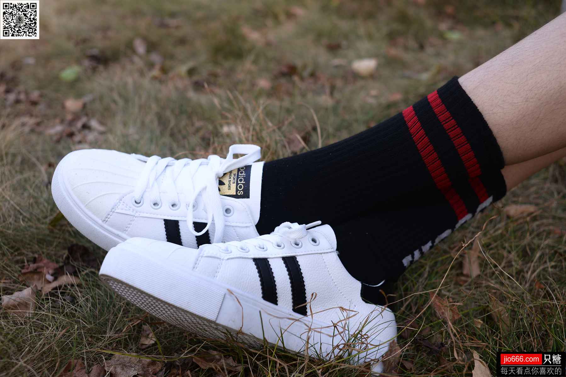 图片[158]-[只糖棉袜] NO.114 阿雅 精不精致，都是活法 在线浏览 – 速更版-美库