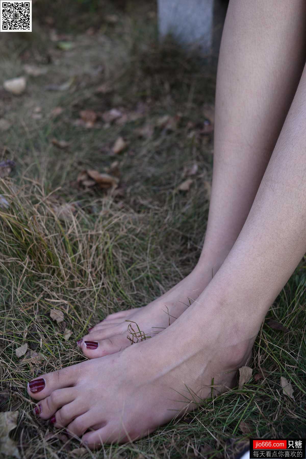 图片[178]-[只糖棉袜] NO.114 阿雅 精不精致，都是活法 在线浏览 – 速更版-美库