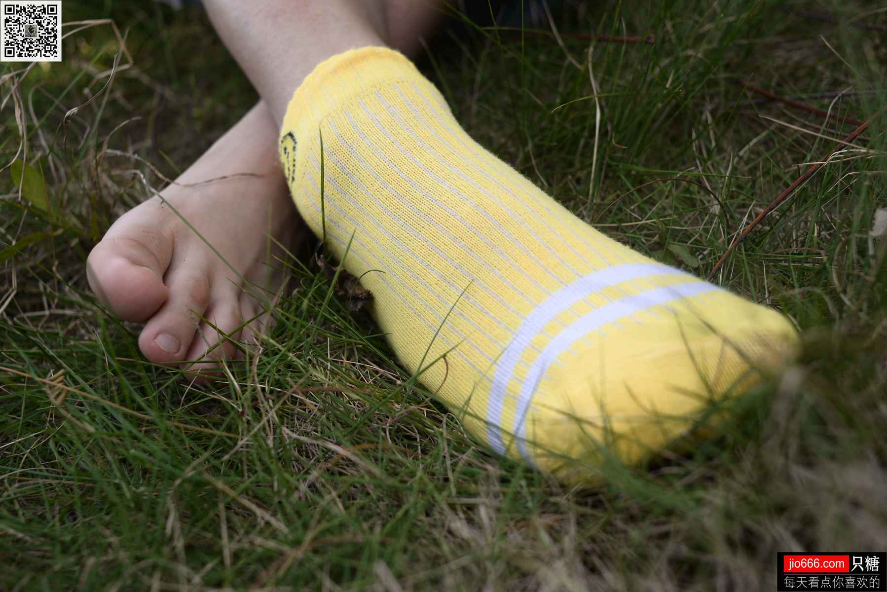 图片[157]-[只糖棉袜] NO.112 丸子 小鹿乱撞是神明的拜访 在线浏览 – 速更版-美库