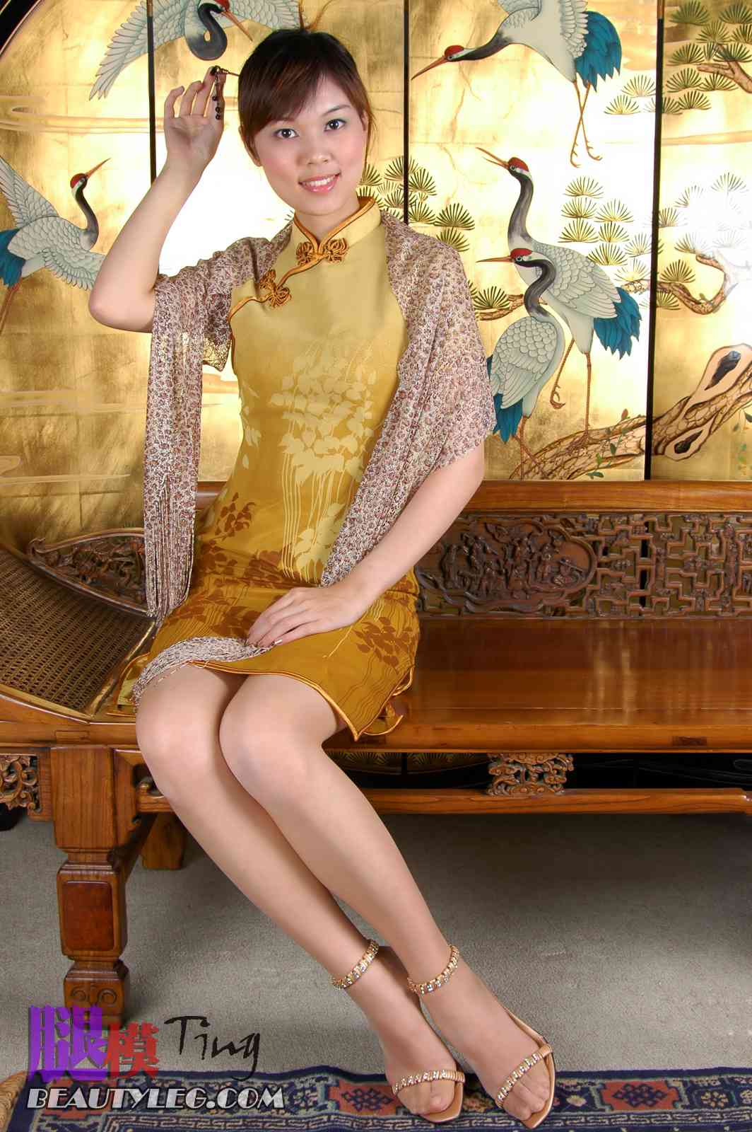 图片[12]-[BeautyLeg] No.016 Ting 在线浏览 – 速更版-美库