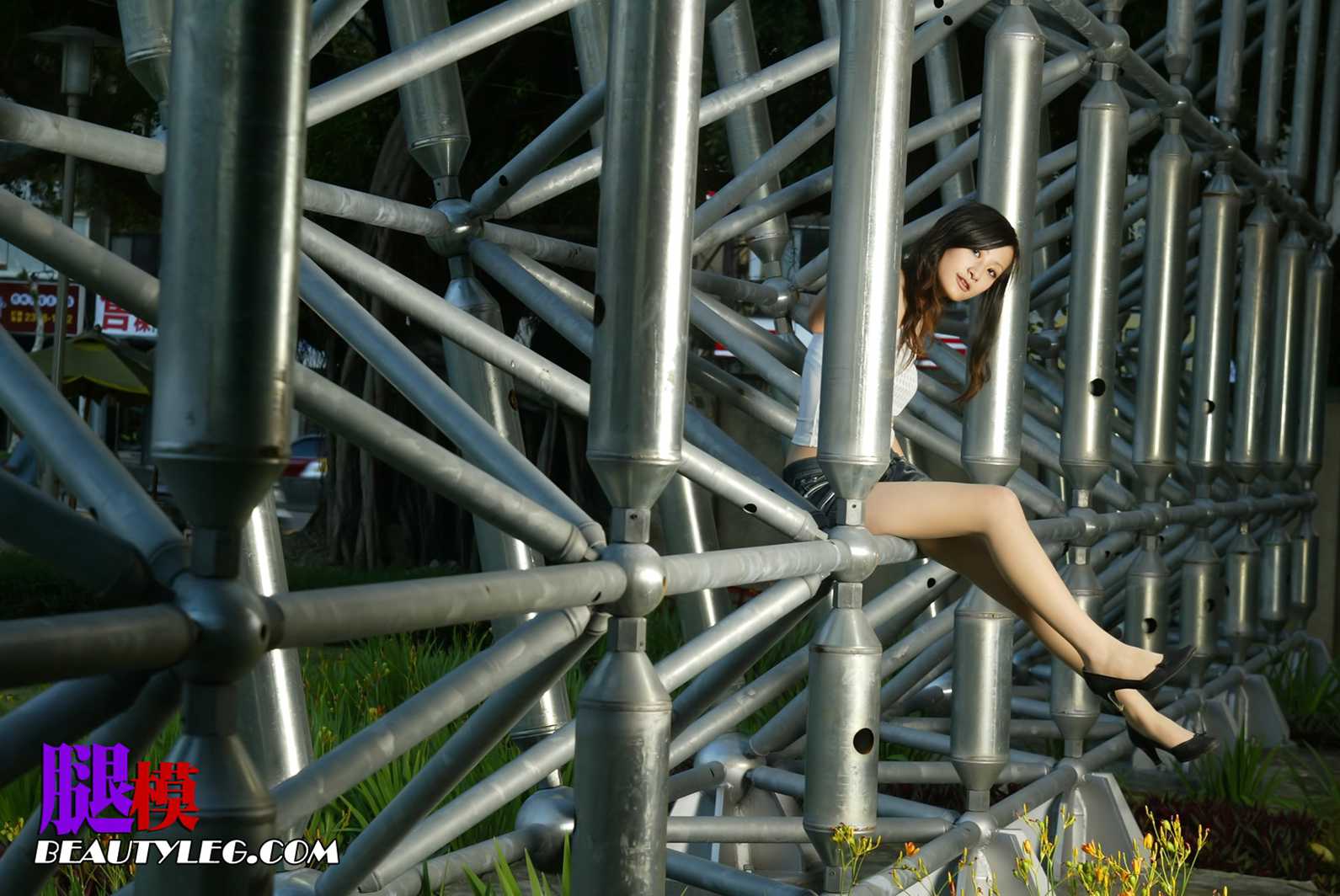 图片[89]-[BeautyLeg] No.042 小杨 在线浏览 – 速更版-美库