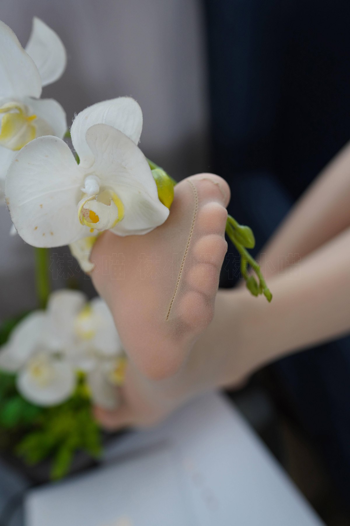 图片[59]-[kittyWawa袜小喵] KT252 浅蓝连衣裙 在线浏览 – 速更版-美库