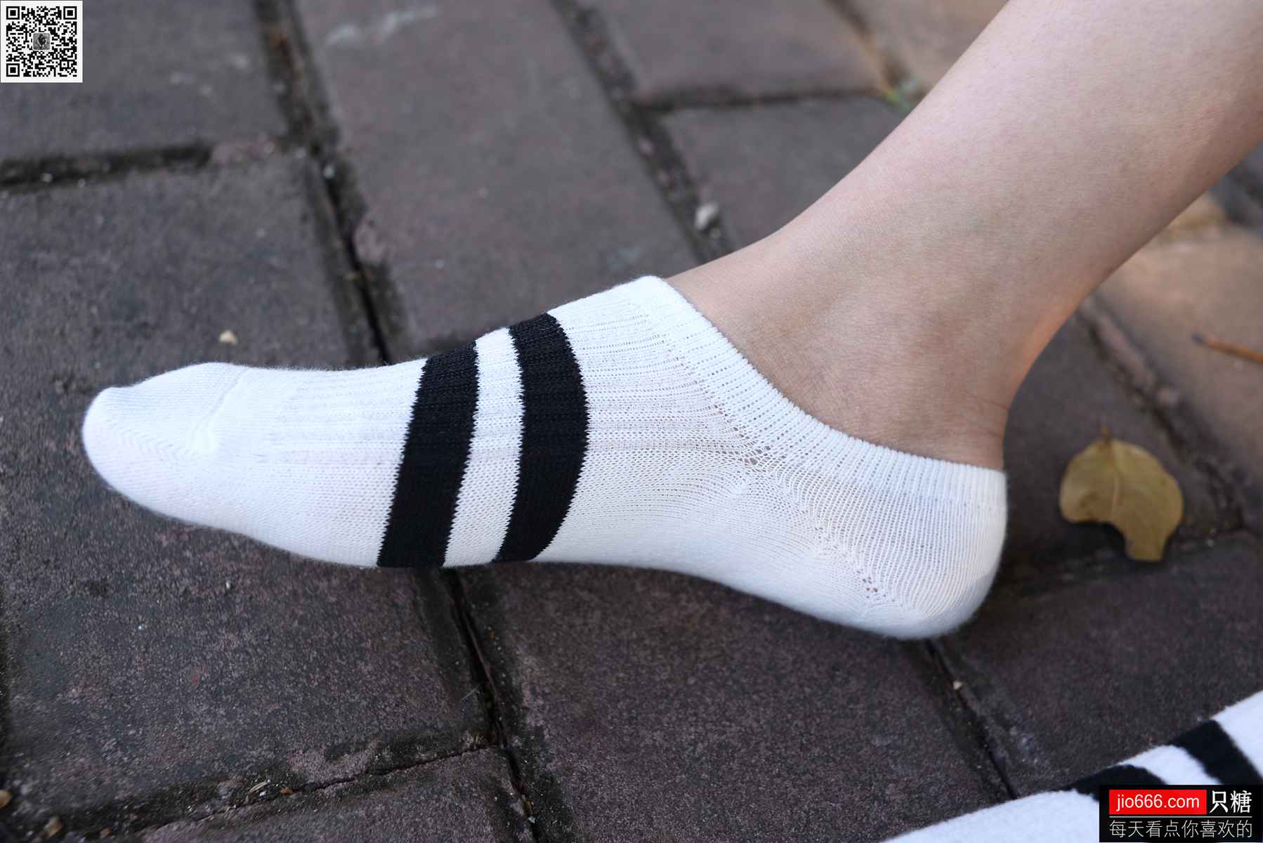 图片[274]-[只糖棉袜] NO.124 阿雅 月亮和星星会不会互道心事 在线浏览 – 速更版-美库