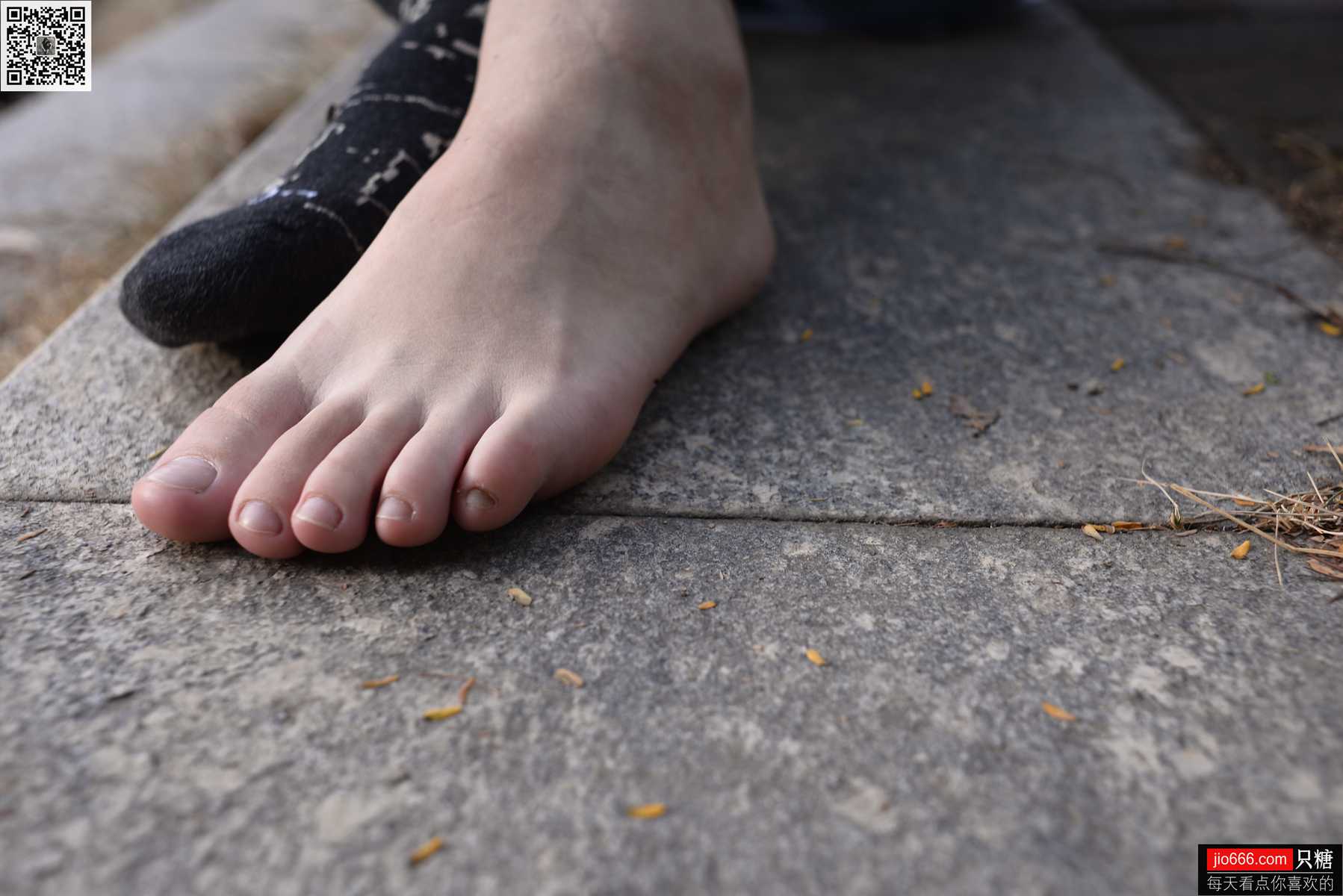 图片[163]-[只糖棉袜] NO.125 小歪 十一月，再见!十二月，你好 在线浏览 – 速更版-美库