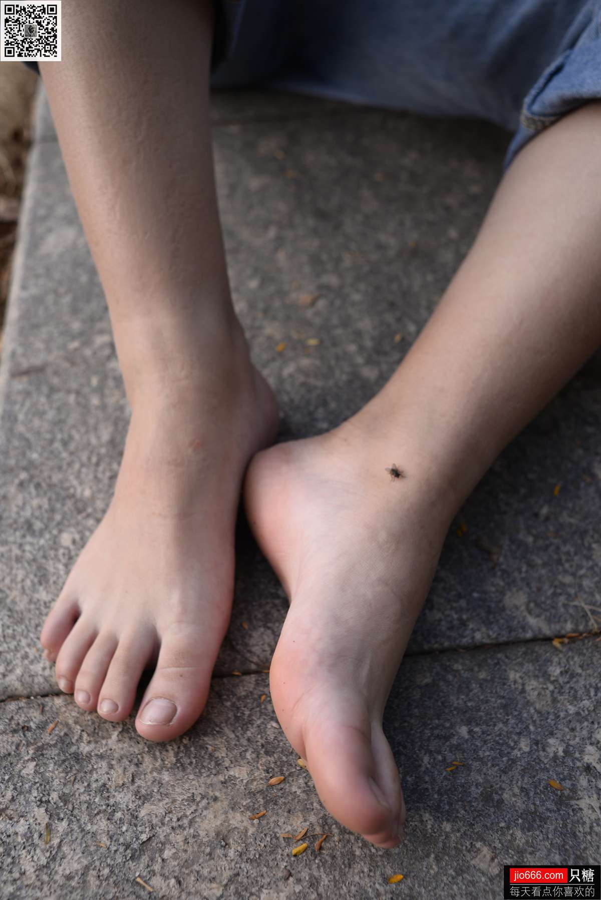 图片[101]-[只糖棉袜] NO.125 小歪 十一月，再见!十二月，你好 在线浏览 – 速更版-美库