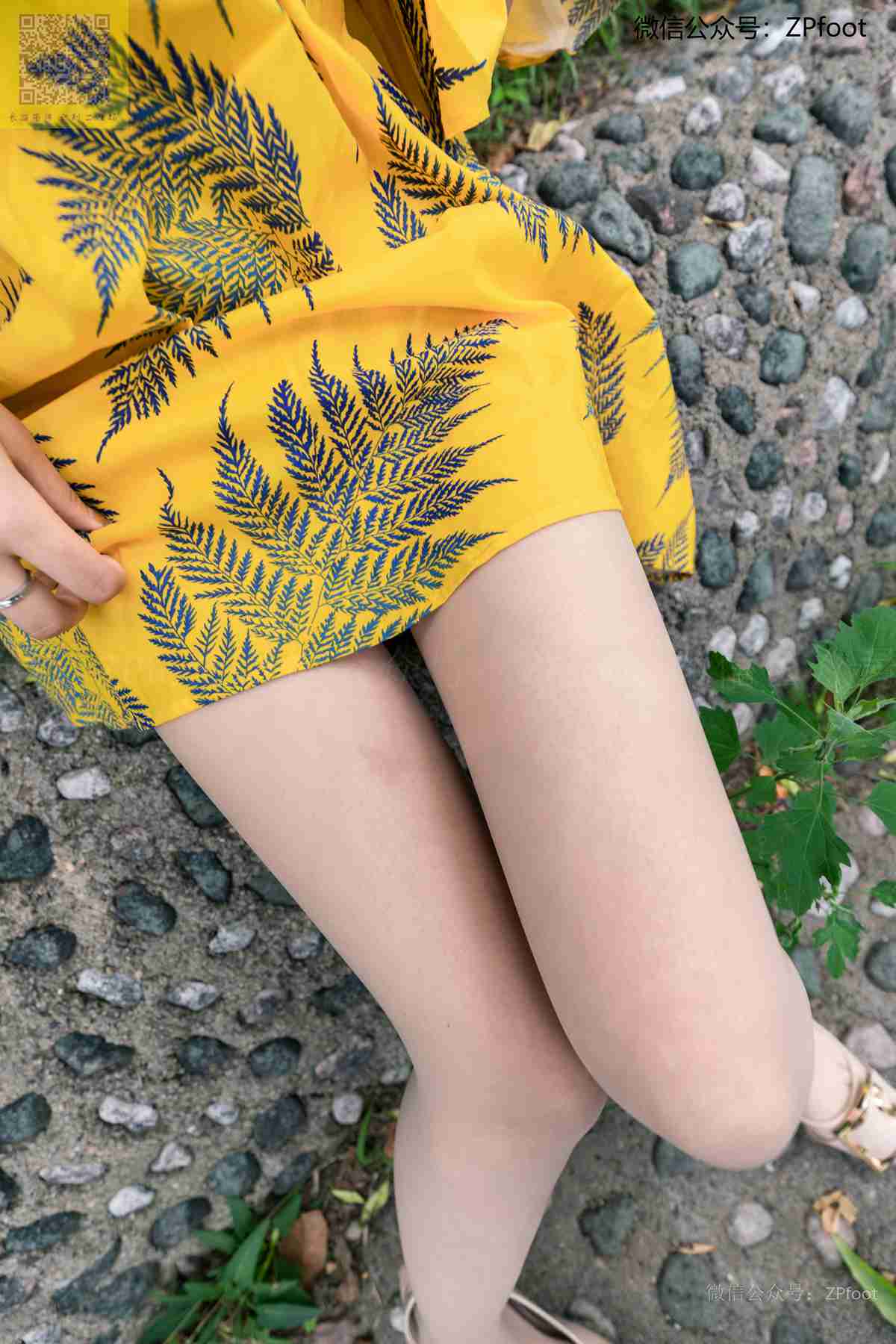 图片[55]-[LSS山茶摄影]NO.181 丝袜穿搭24[77P] – 速更版-美库