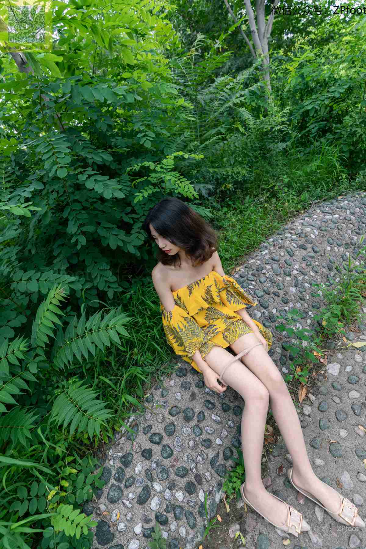 图片[50]-[LSS山茶摄影]NO.181 丝袜穿搭24[77P] – 速更版-美库