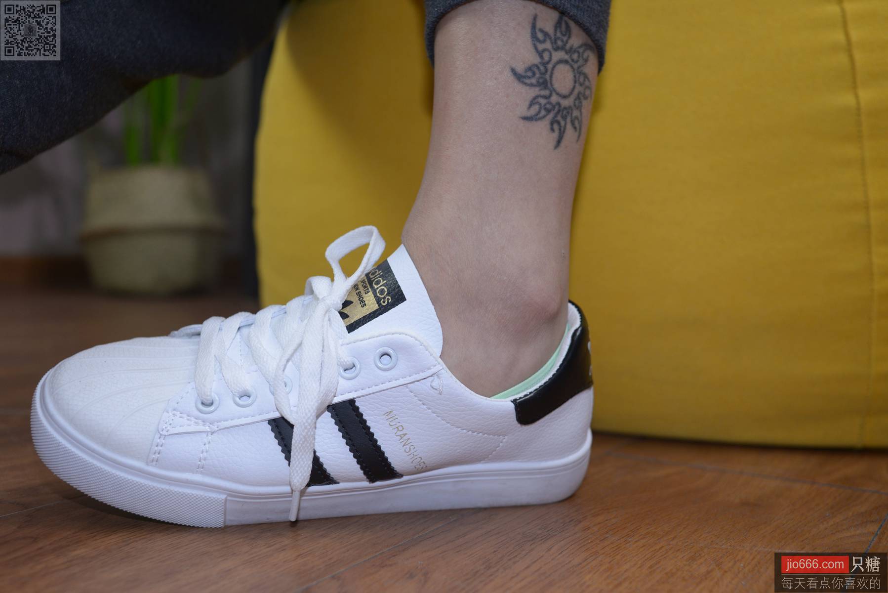 图片[22]-[只糖棉袜]NO.137 橙兔 所幸仍有光[216P] – 速更版-美库