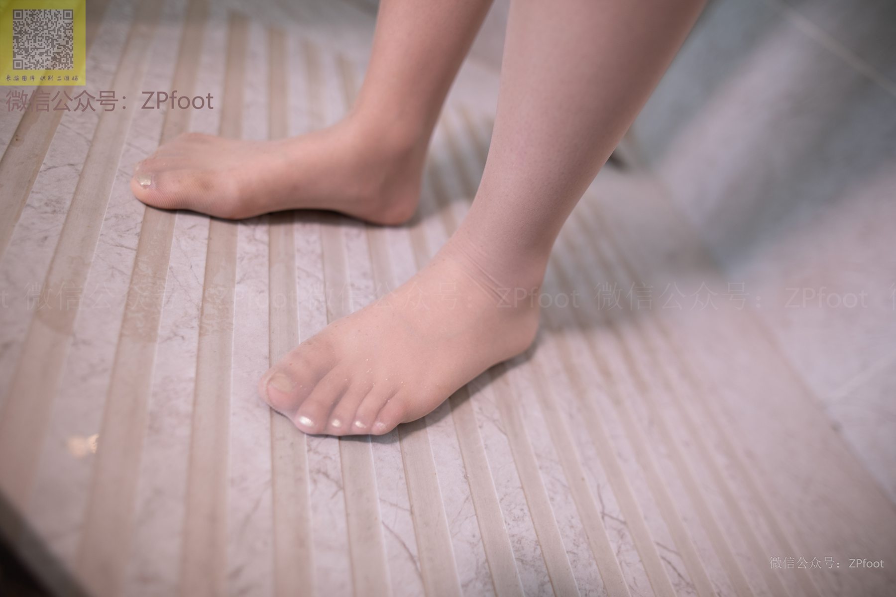 图片[66]-[LSS山茶摄影]NO.192 丝袜穿搭35[64P] – 速更版-美库