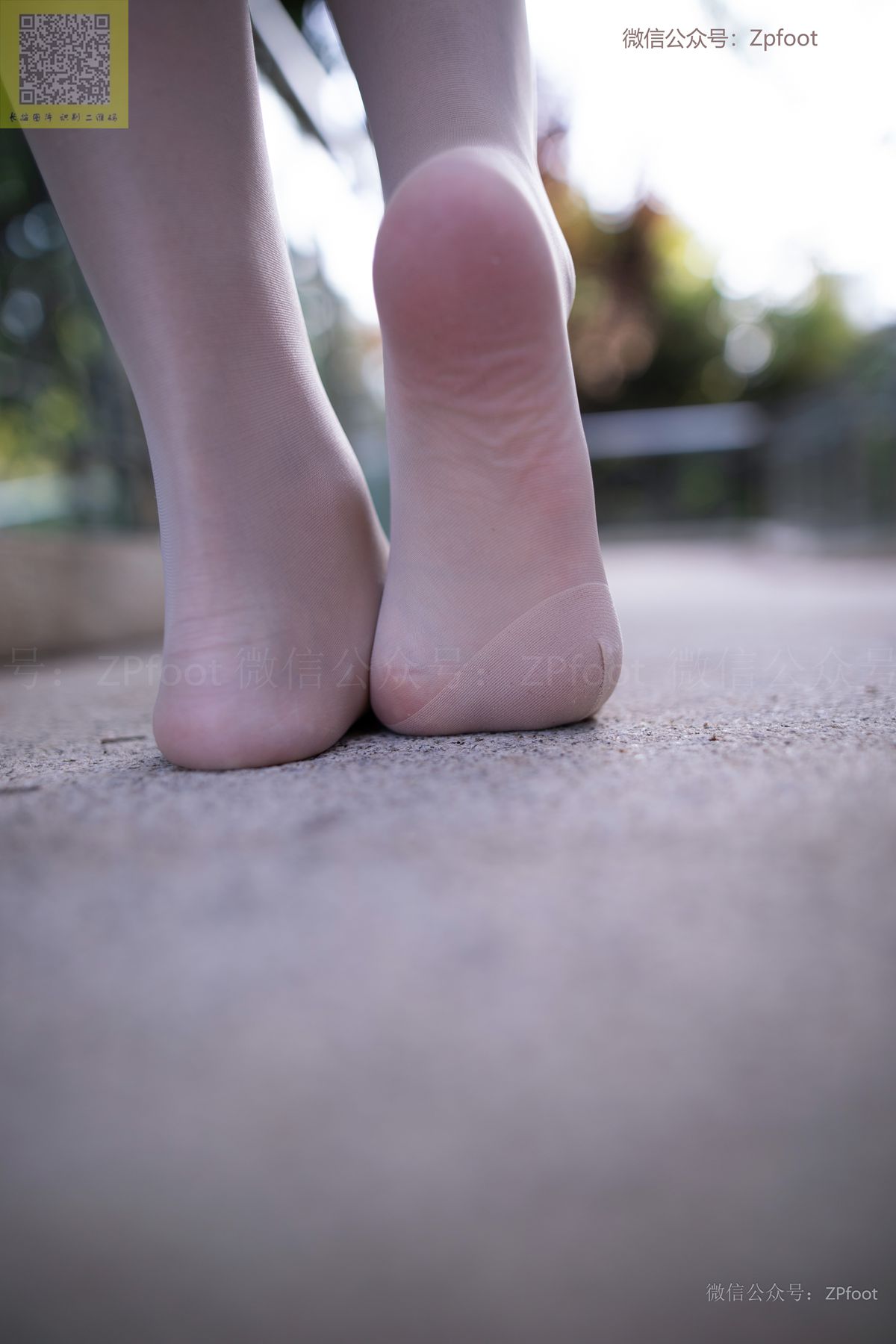 图片[54]-[LSS山茶摄影]NO.198 丝袜穿搭41[57P] – 速更版-美库