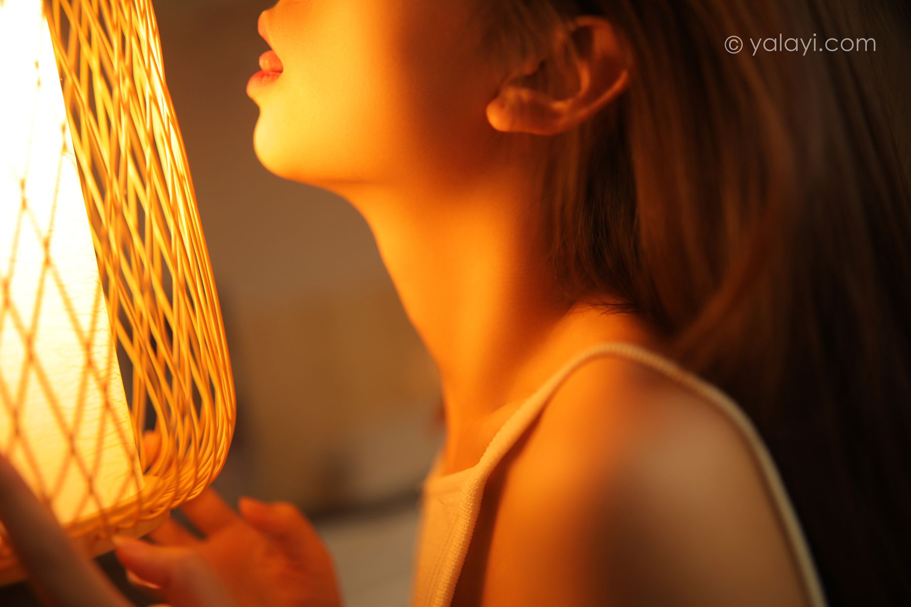 图片[17]-[YALAYI雅拉伊]2020.12.11 NO.738 晓琪《无眠身懒》[41P] – 速更版-美库