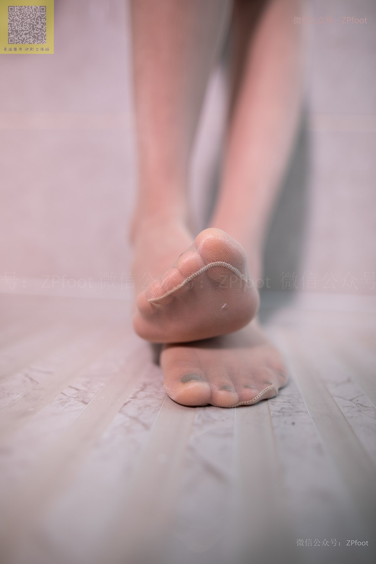 图片[46]-[LSS山茶摄影]NO.203 丝袜穿搭46[79P] – 速更版-美库