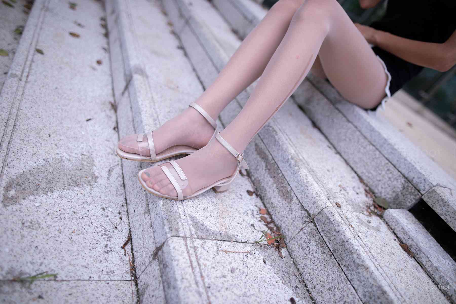 图片[3]-[LSS山茶摄影]NO.205 丝袜穿搭48[61P] – 速更版-美库