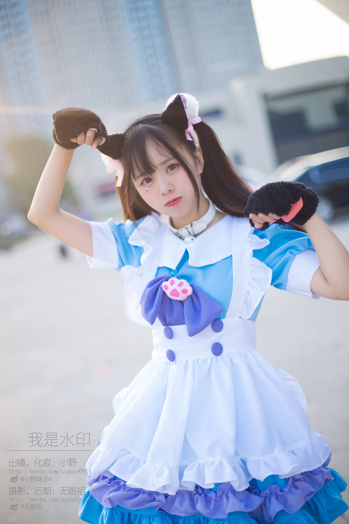 萌系小野妹子w - 蓝色系猫娘 - 速更版-绅士图