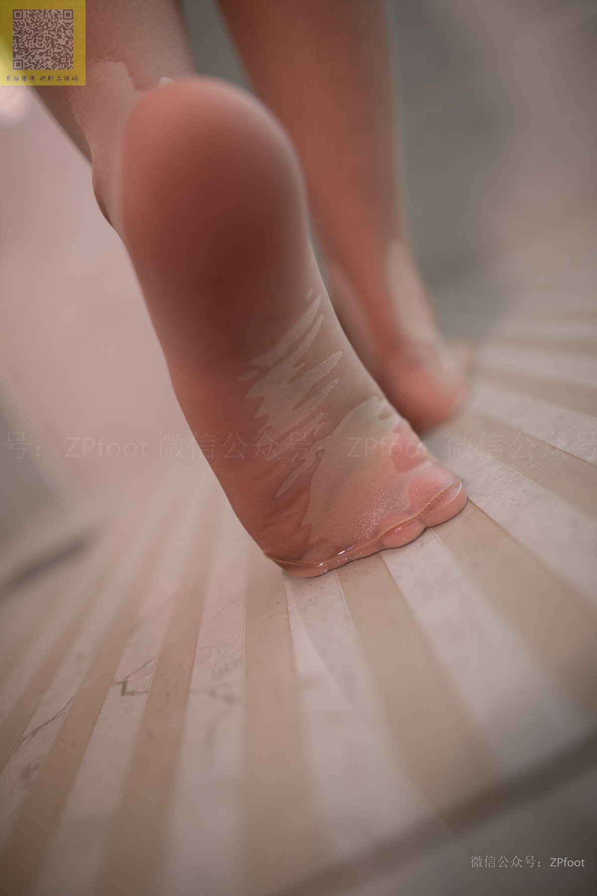 图片[46]-[LSS山茶摄影]NO.217 丝袜穿搭60[75P] – 速更版-美库