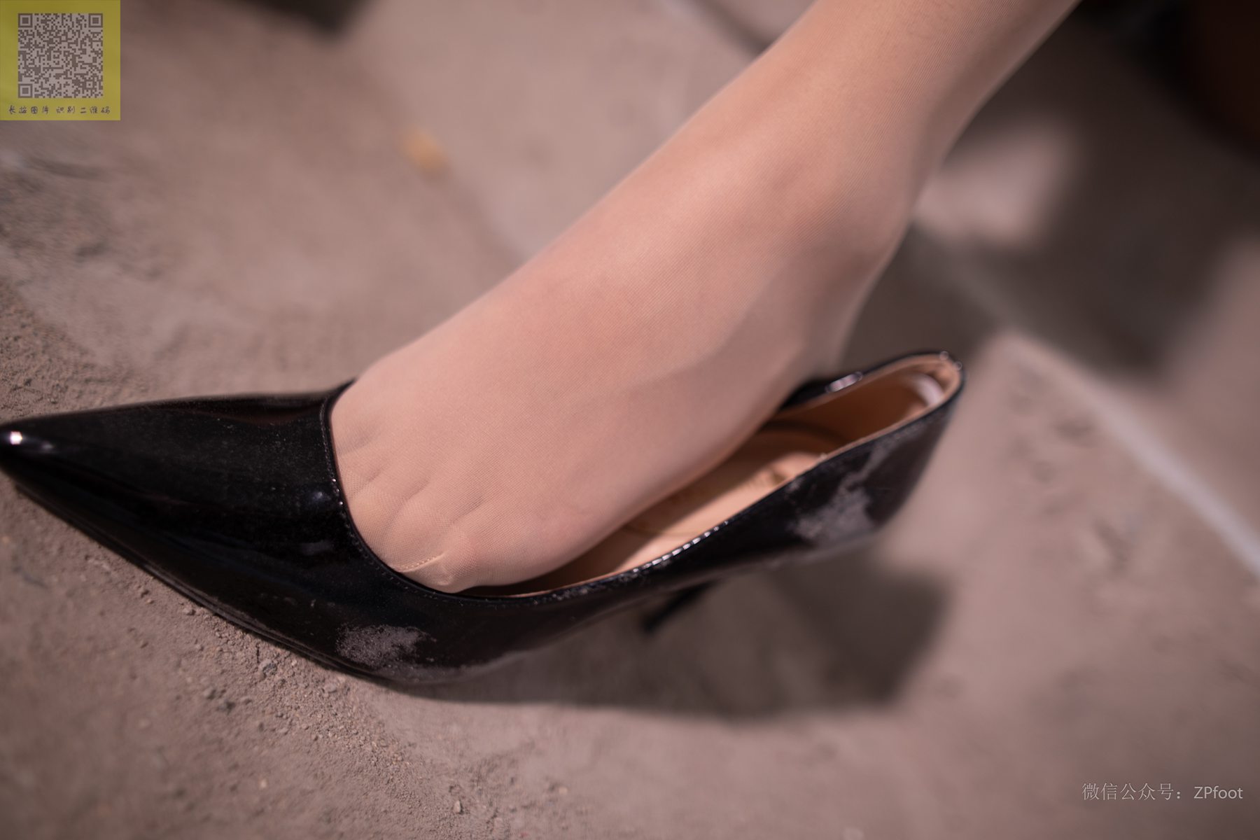 图片[57]-[LSS山茶摄影]NO.221 丝袜穿搭64[76P] – 速更版-美库