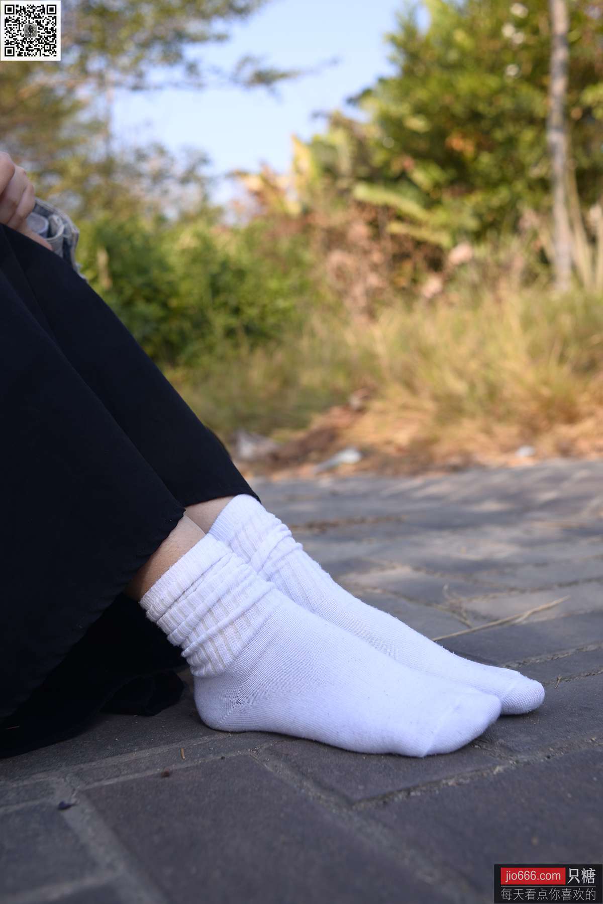 图片[176]-[只糖棉袜]NO.147 橘子 因缘而起，因念而生[249P] – 速更版-美库