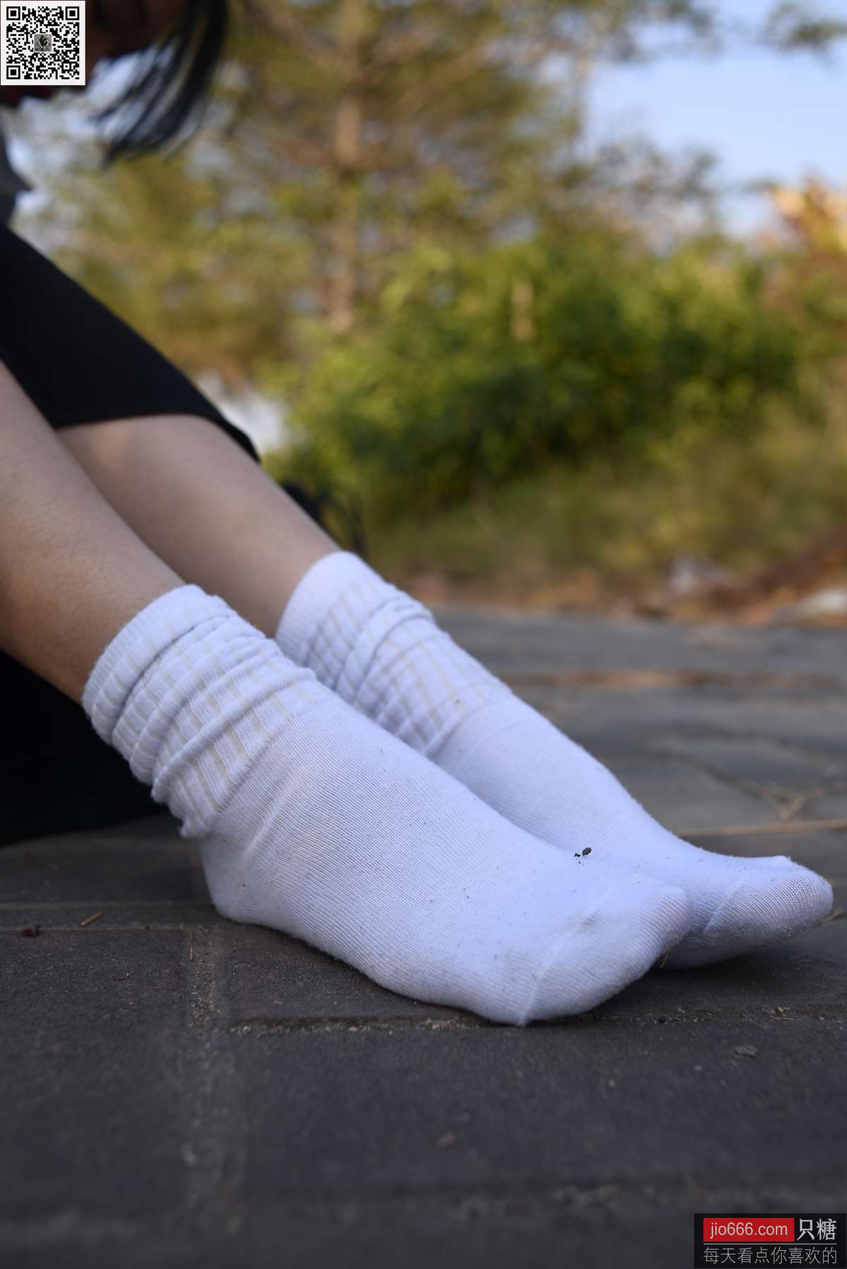 图片[249]-[只糖棉袜]NO.147 橘子 因缘而起，因念而生[249P] – 速更版-美库