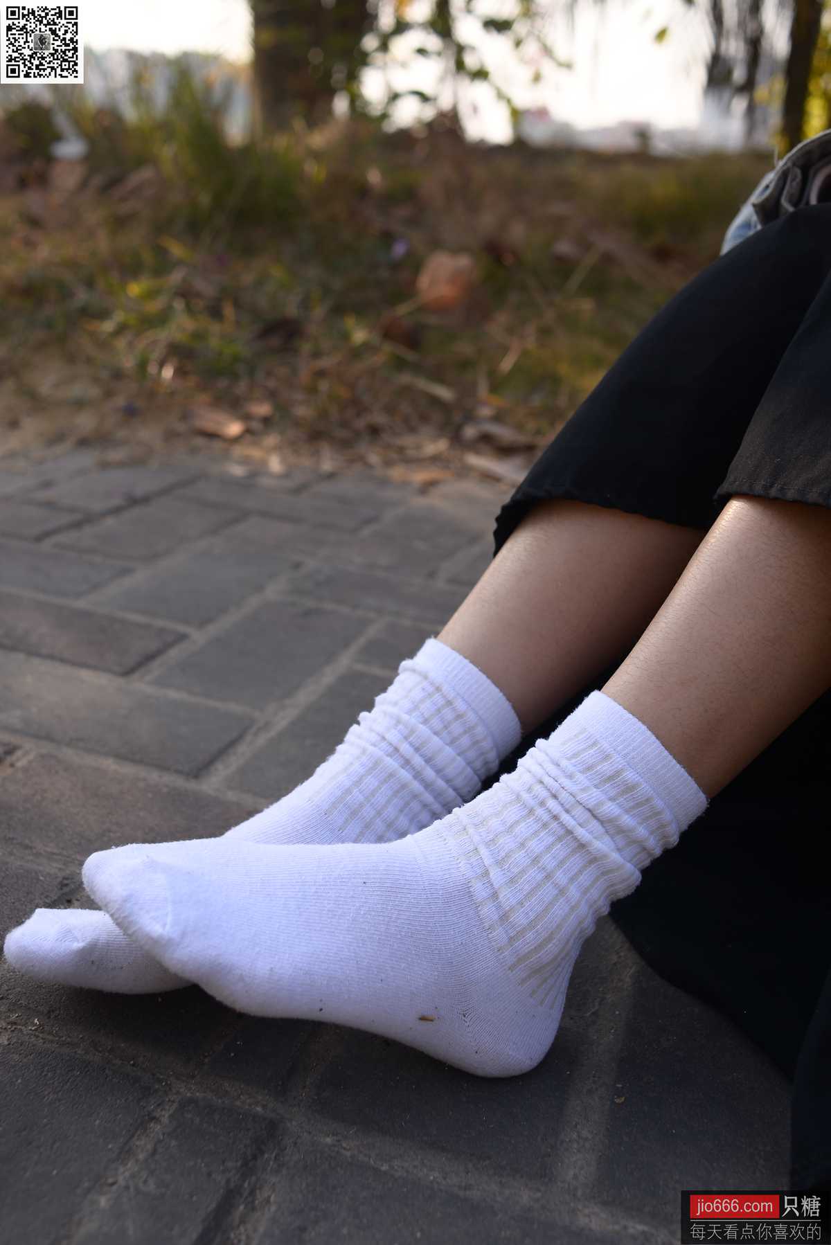 图片[186]-[只糖棉袜]NO.147 橘子 因缘而起，因念而生[249P] – 速更版-美库