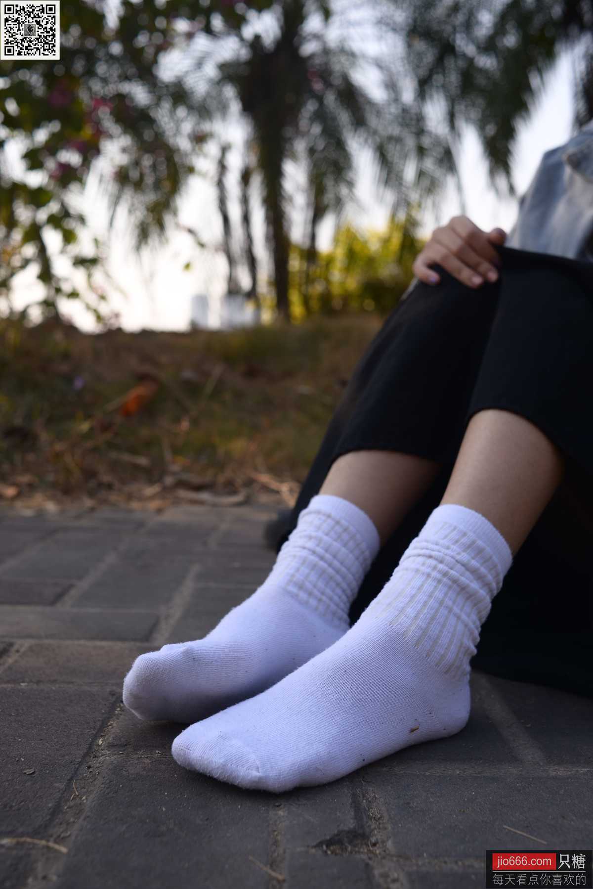 图片[124]-[只糖棉袜]NO.147 橘子 因缘而起，因念而生[249P] – 速更版-美库