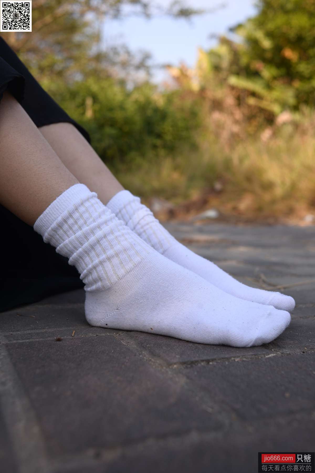 图片[67]-[只糖棉袜]NO.147 橘子 因缘而起，因念而生[249P] – 速更版-美库