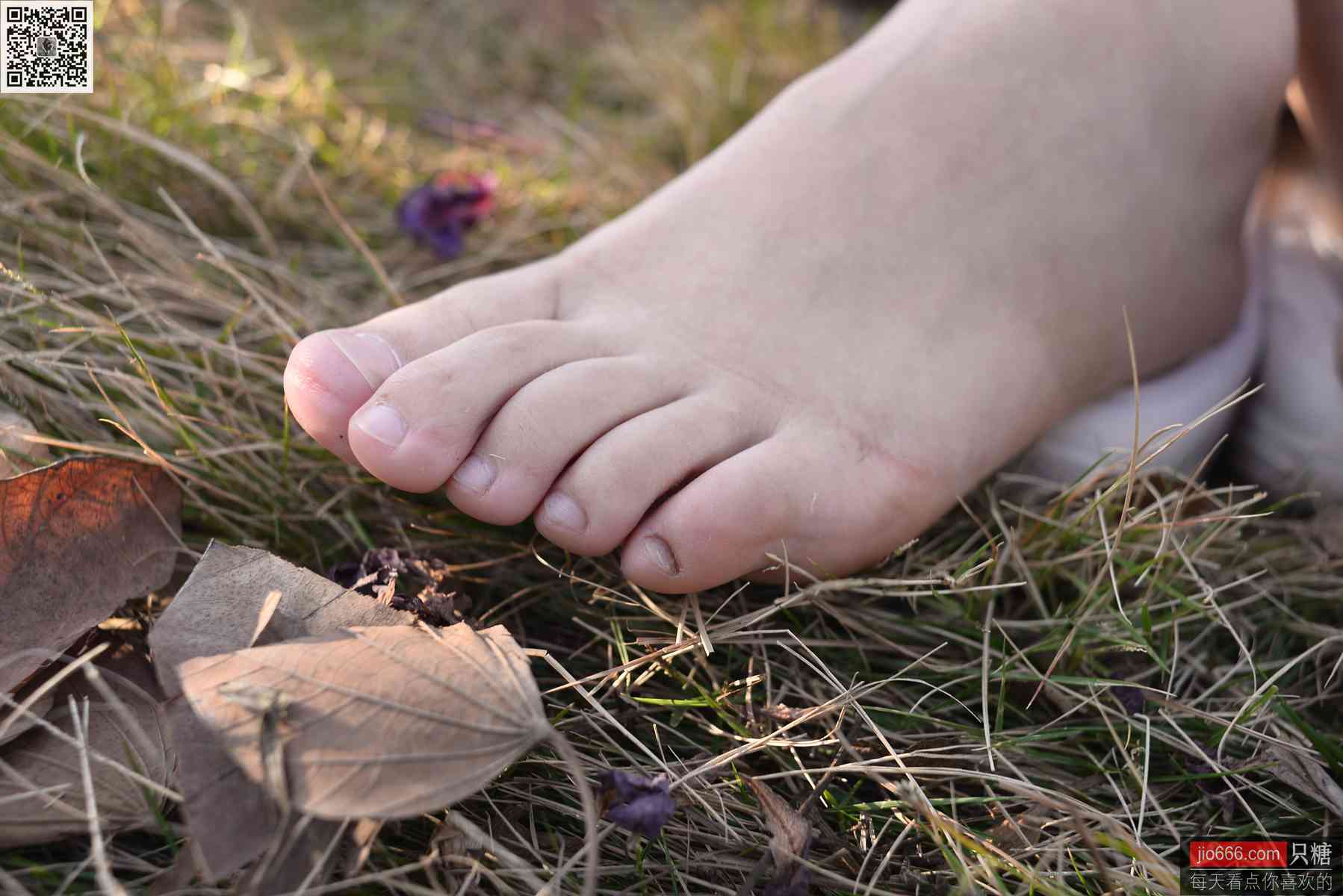 图片[72]-[只糖棉袜]NO.148 叶欣 愿这悠长岁月温柔安好[250P] – 速更版-美库