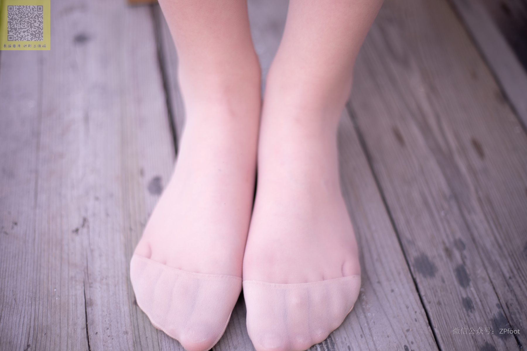 图片[58]-[LSS山茶摄影]NO.229 丝袜穿搭72[86P] – 速更版-美库