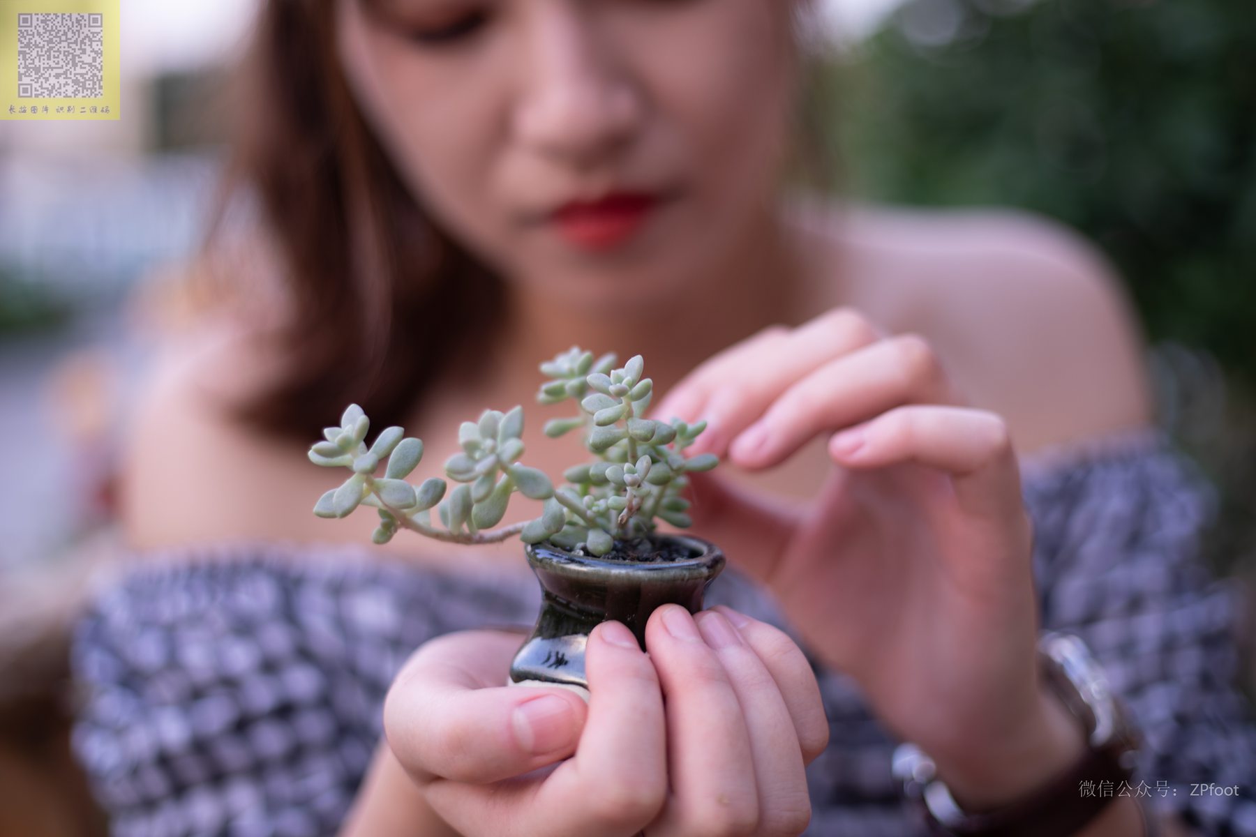 图片[78]-[LSS山茶摄影]NO.229 丝袜穿搭72[86P] – 速更版-美库