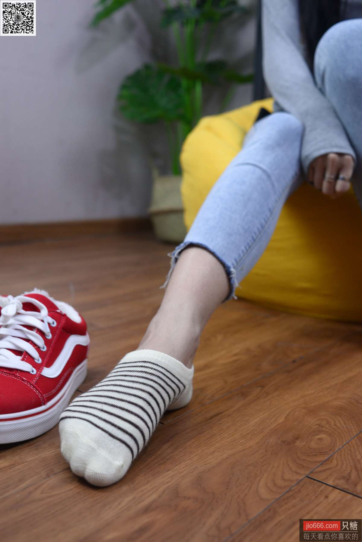 图片[164]-[只糖棉袜]NO.149 文文 轻拾月光，听风声缱绻[229P] – 速更版-美库