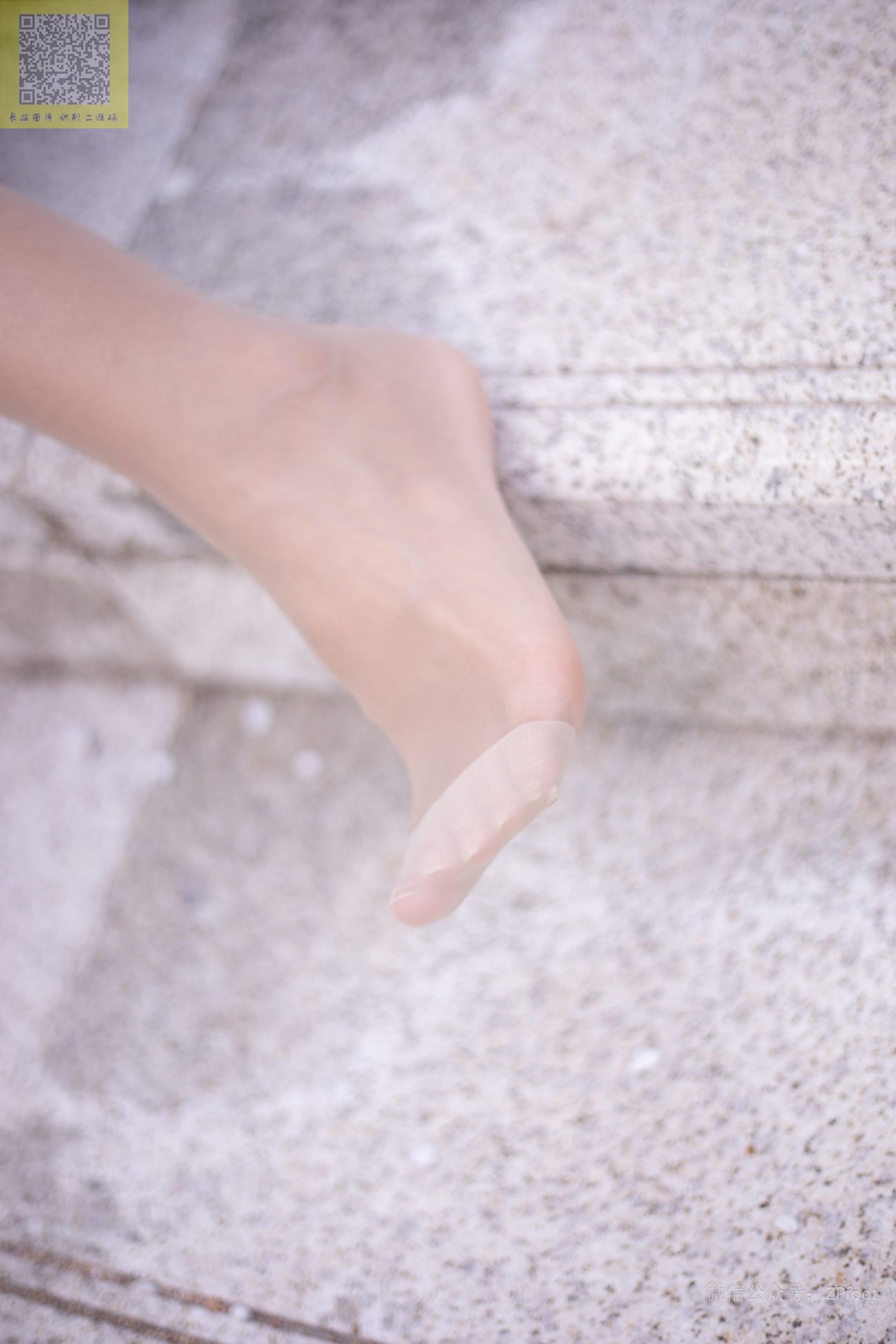 图片[39]-[LSS山茶摄影]NO.235 丝袜穿搭78[76P] – 速更版-美库