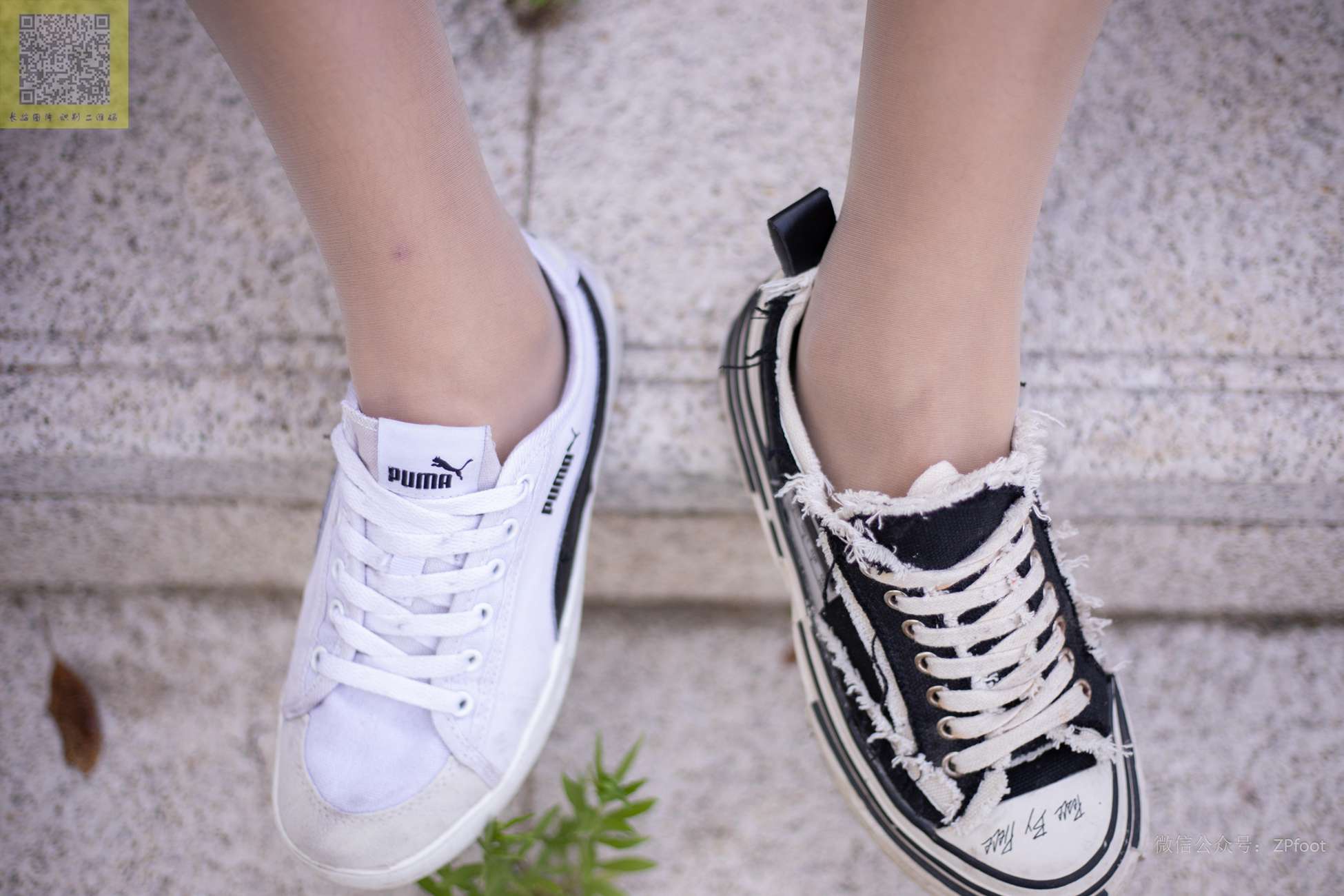 图片[74]-[LSS山茶摄影]NO.235 丝袜穿搭78[76P] – 速更版-美库