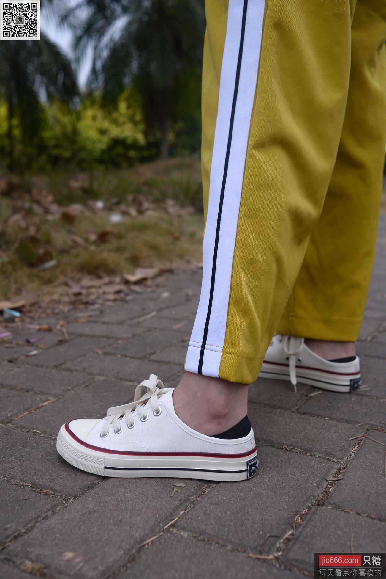 图片[298]-[只糖棉袜]NO.152 阿雅 内心装满开心的童话[299P] – 速更版-美库