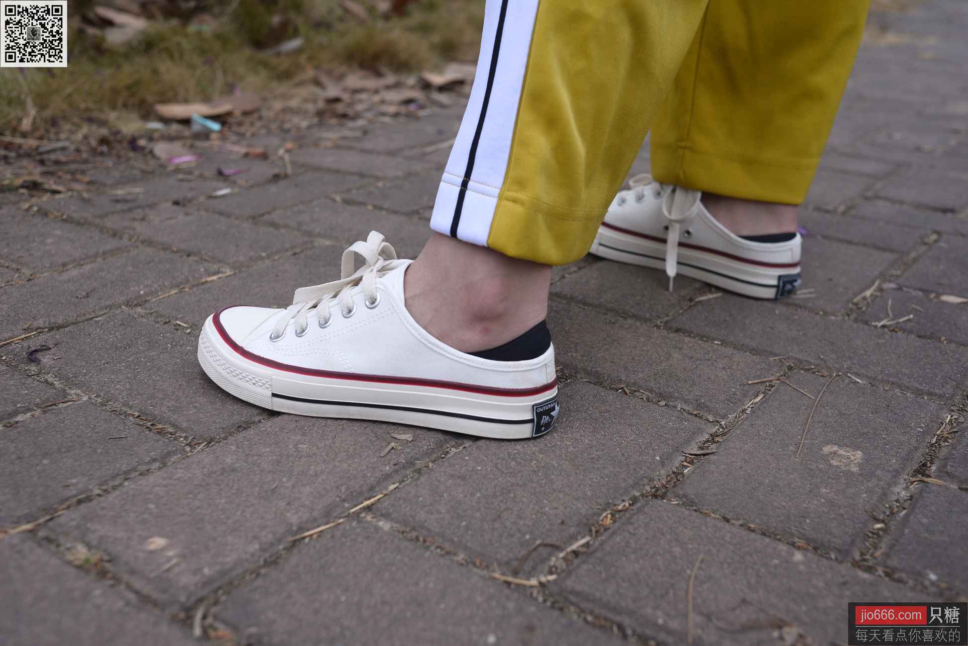 图片[299]-[只糖棉袜]NO.152 阿雅 内心装满开心的童话[299P] – 速更版-美库