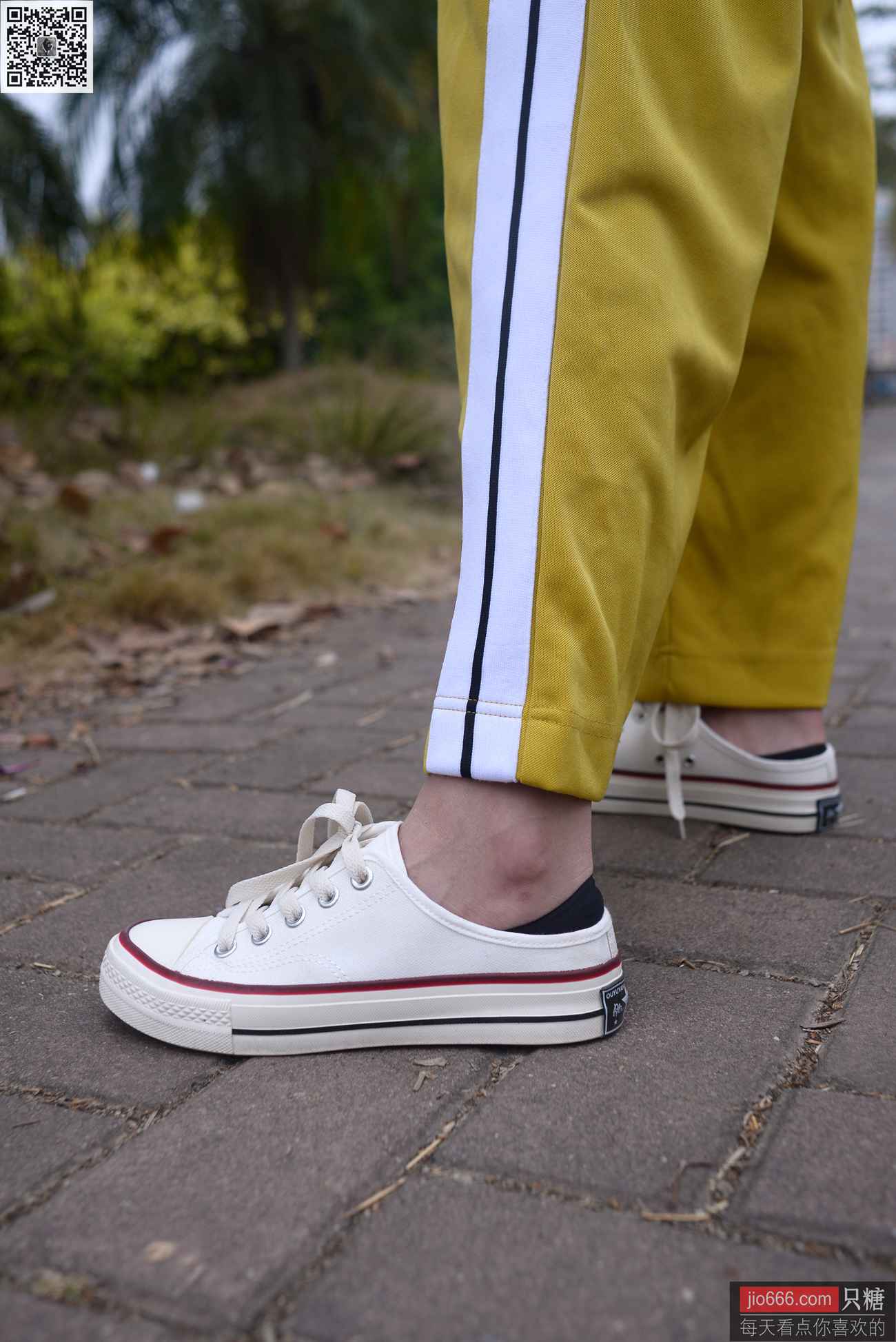 图片[300]-[只糖棉袜]NO.152 阿雅 内心装满开心的童话[299P] – 速更版-美库