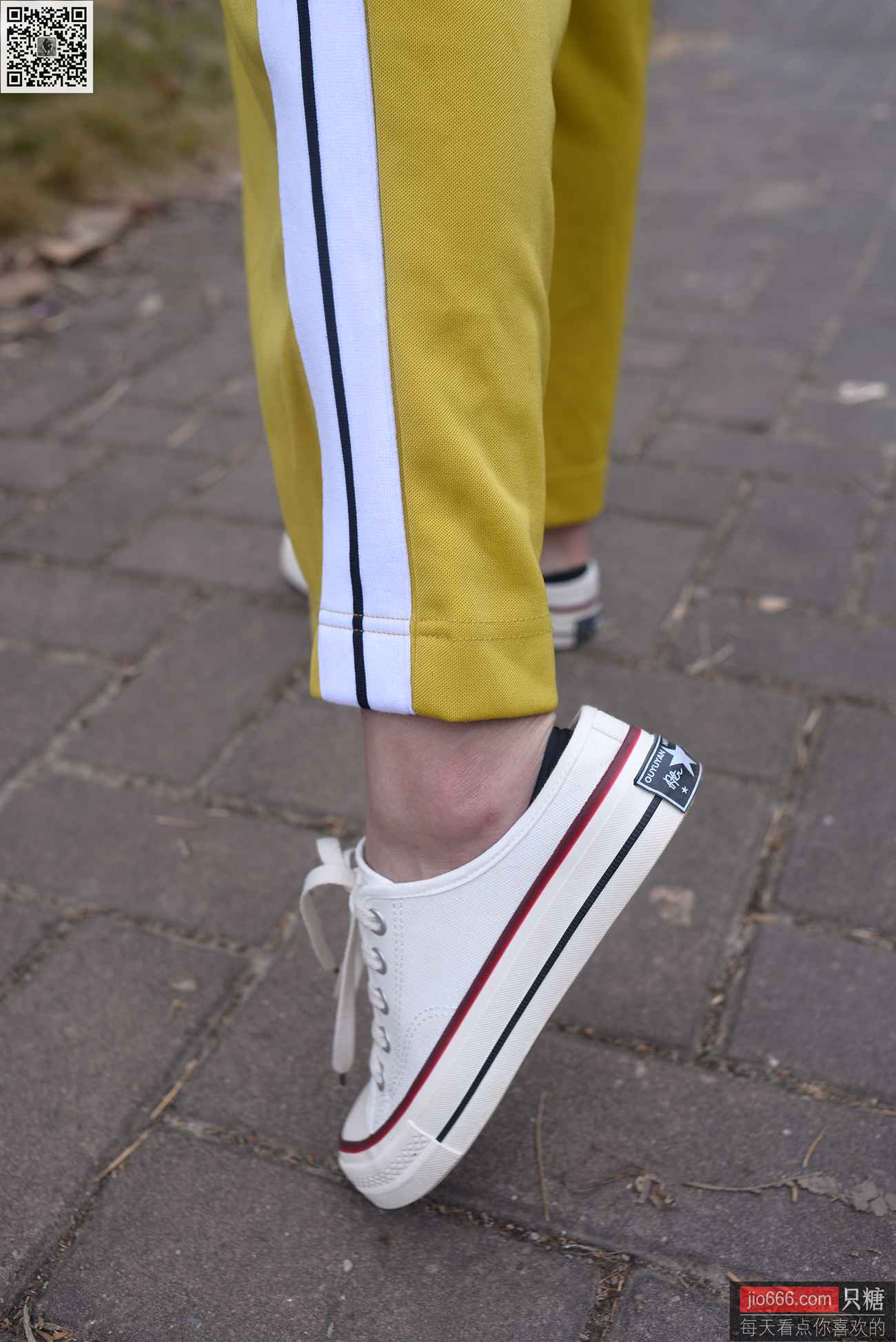 图片[301]-[只糖棉袜]NO.152 阿雅 内心装满开心的童话[299P] – 速更版-美库