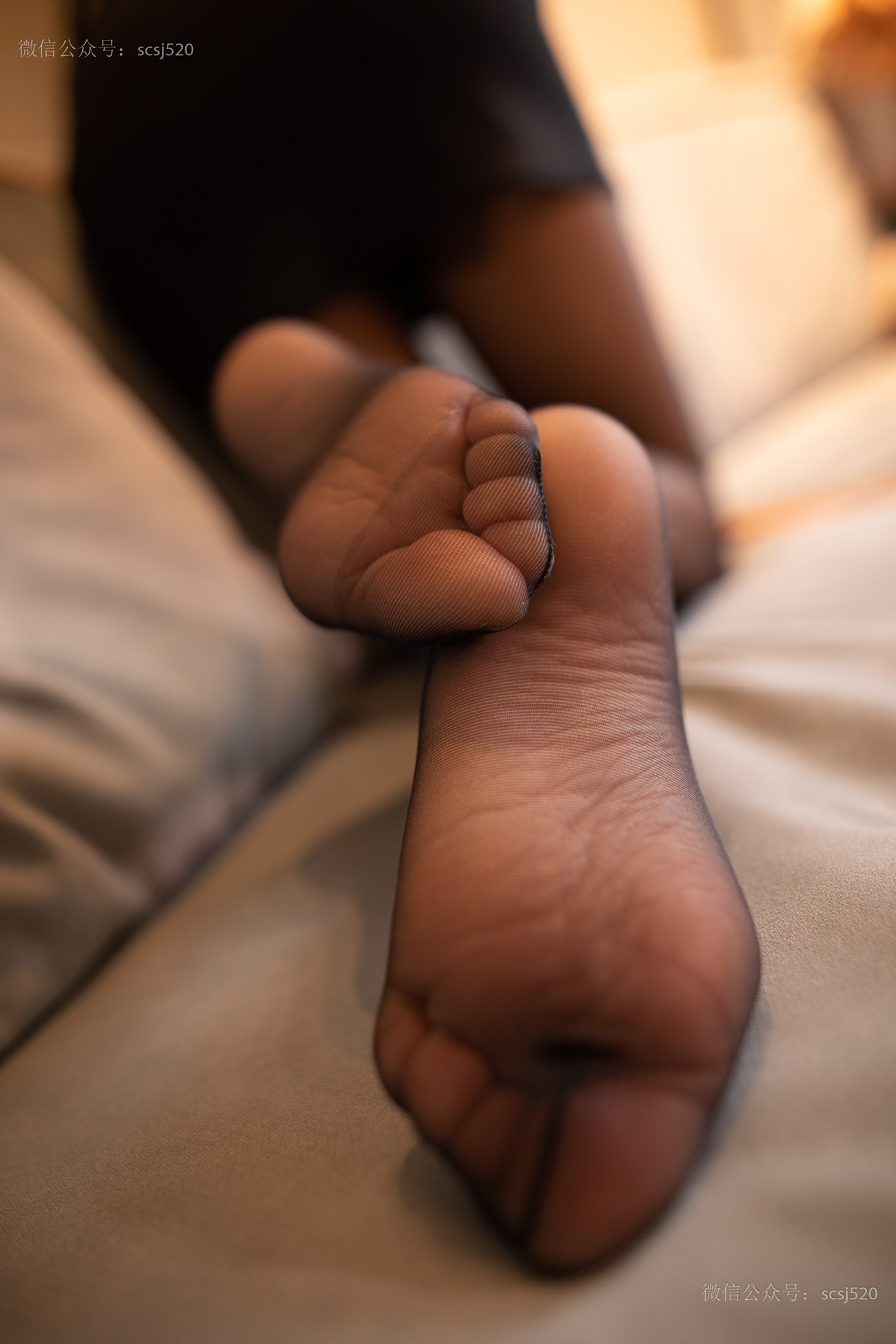 图片[42]-[LSS山茶摄影]NO.239 丝袜穿搭82[75P] – 速更版-美库