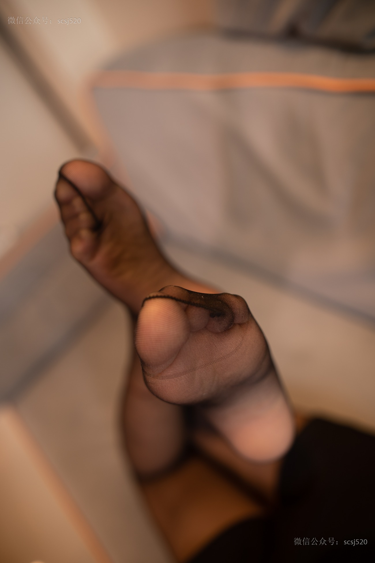 图片[49]-[LSS山茶摄影]NO.239 丝袜穿搭82[75P] – 速更版-美库