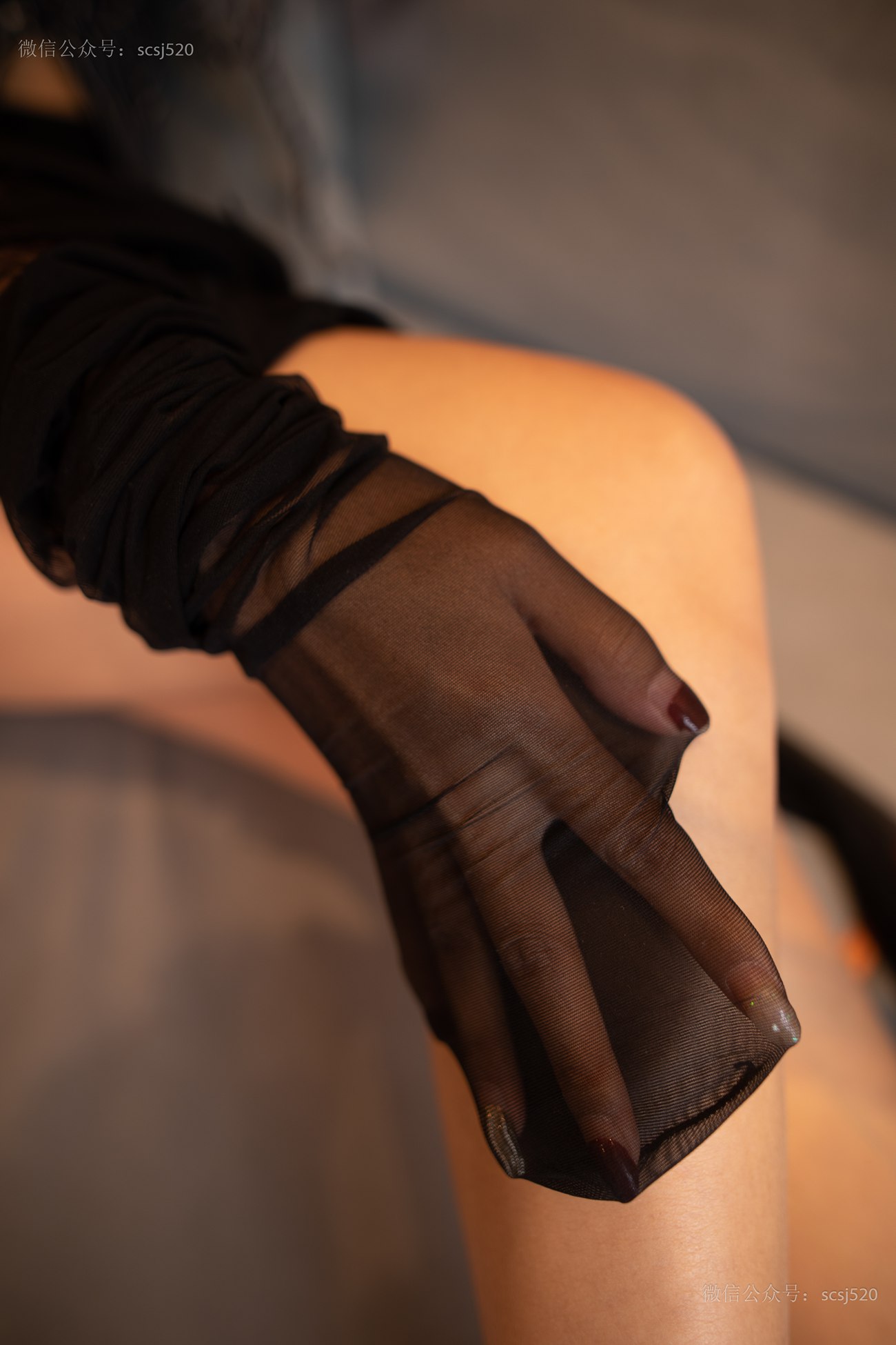 图片[69]-[LSS山茶摄影]NO.239 丝袜穿搭82[75P] – 速更版-美库