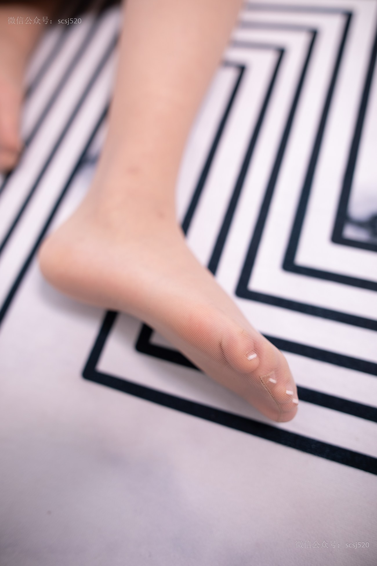 图片[47]-[LSS山茶摄影]NO.241 丝袜穿搭84[73P] – 速更版-美库