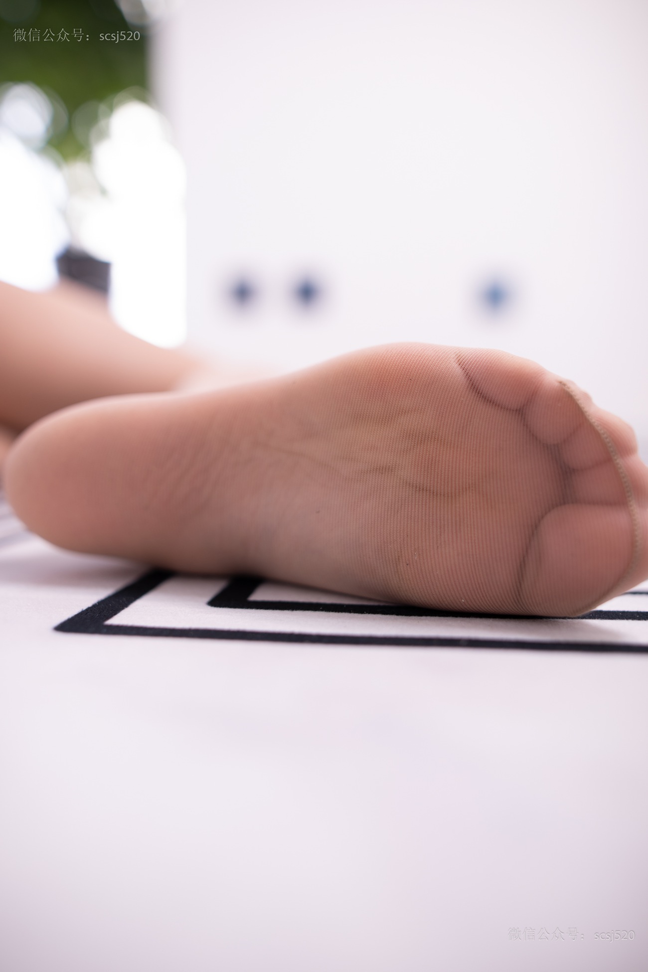 图片[48]-[LSS山茶摄影]NO.241 丝袜穿搭84[73P] – 速更版-美库