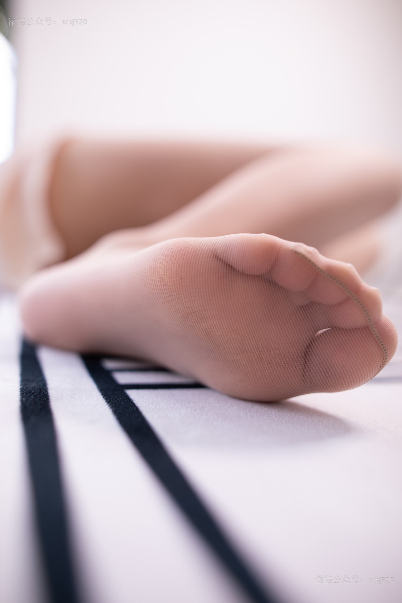 图片[55]-[LSS山茶摄影]NO.241 丝袜穿搭84[73P] – 速更版-美库